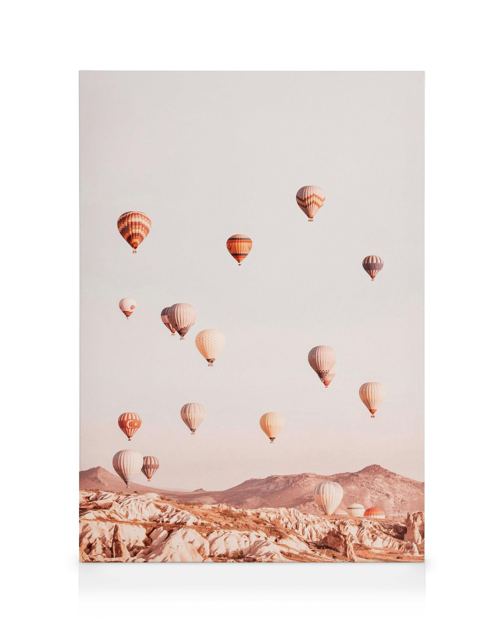 Canvas Prints - Let'S Fly Away Canvas print (50x70 cm) - Poster Store
