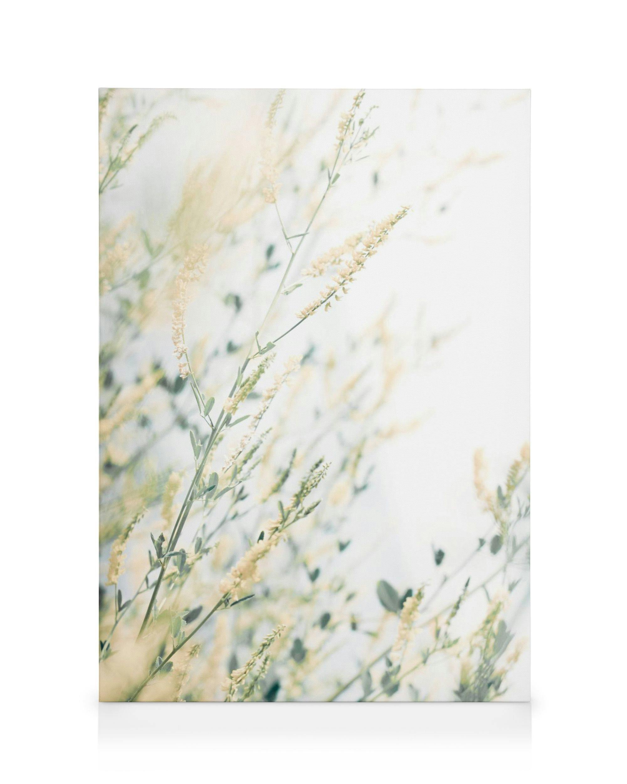 Lyst blomsterlærred 0