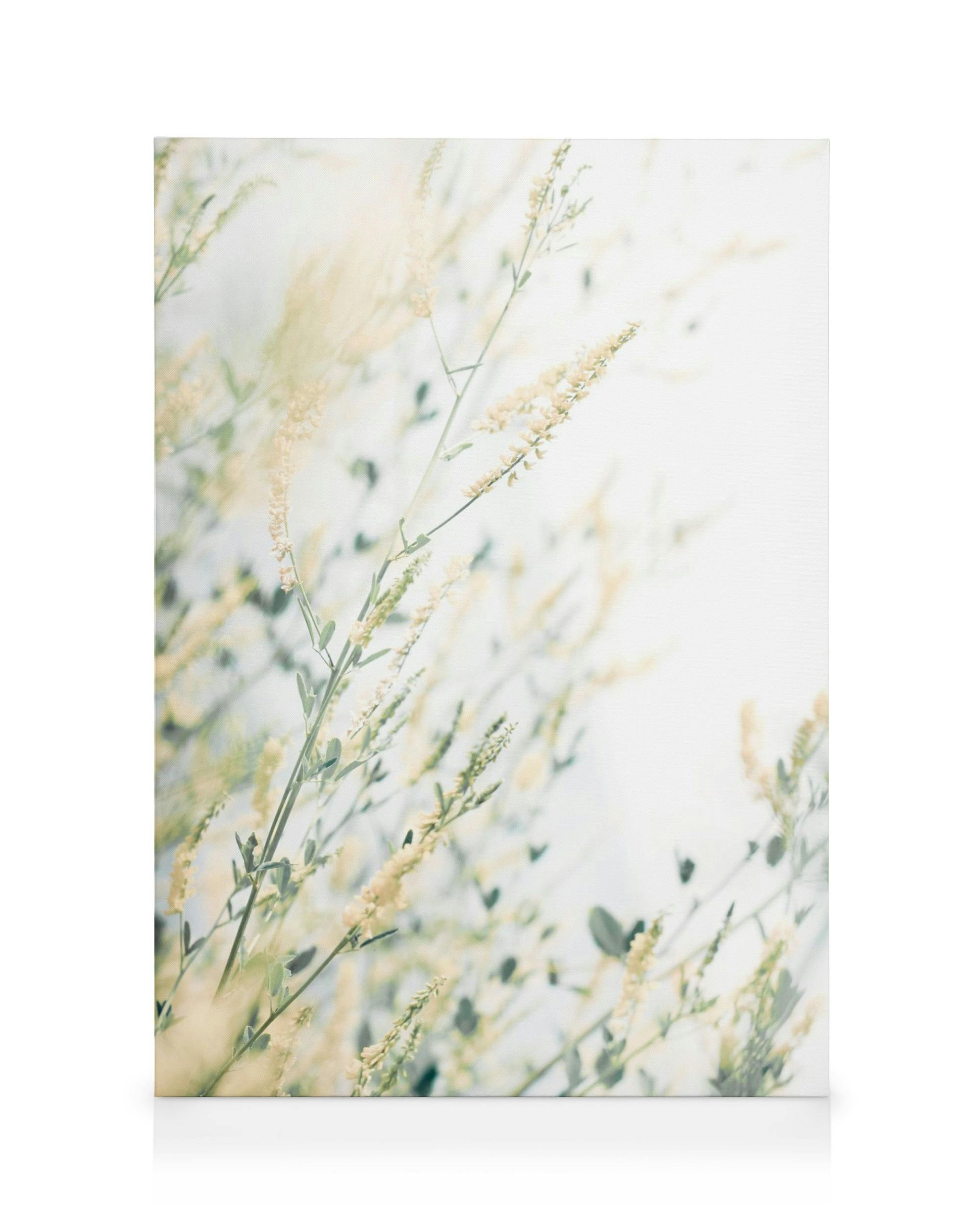 Lyst blomsterlærred 0