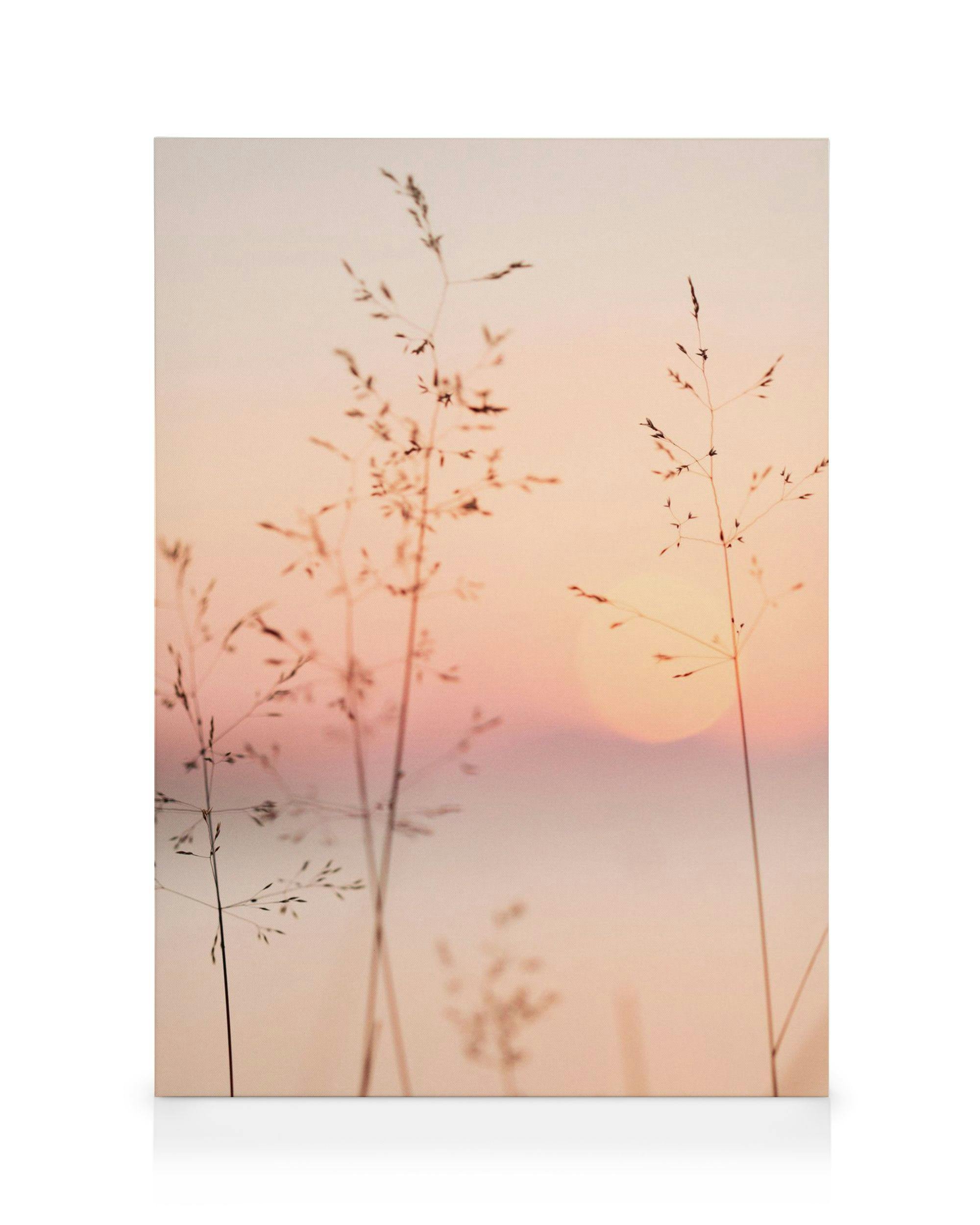 Obraz na płótnie Pastelowy zachód słońca (30x40 cm - Ramka dębowa) - Poster Store