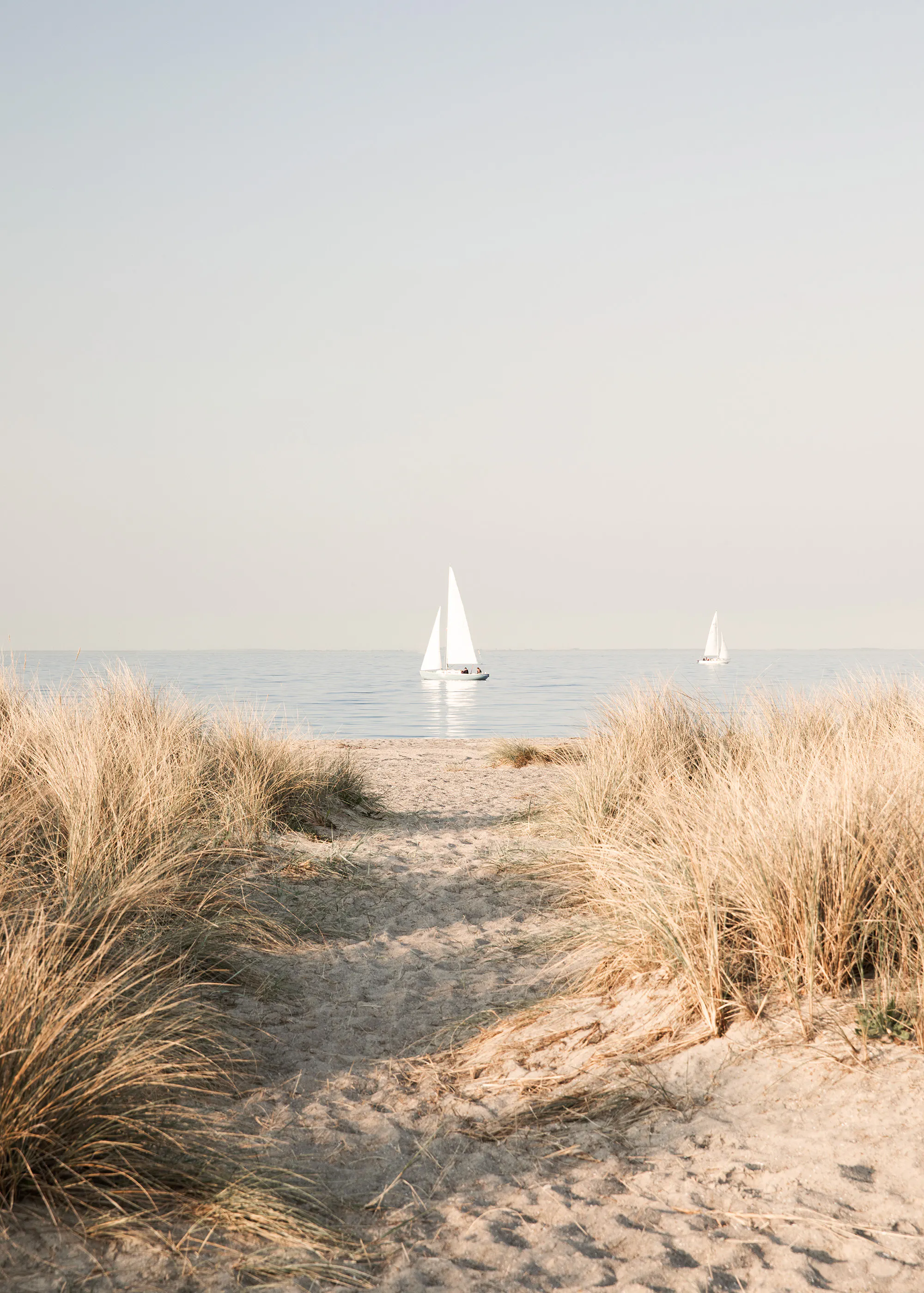 Sailboat Dune View Poster 0
