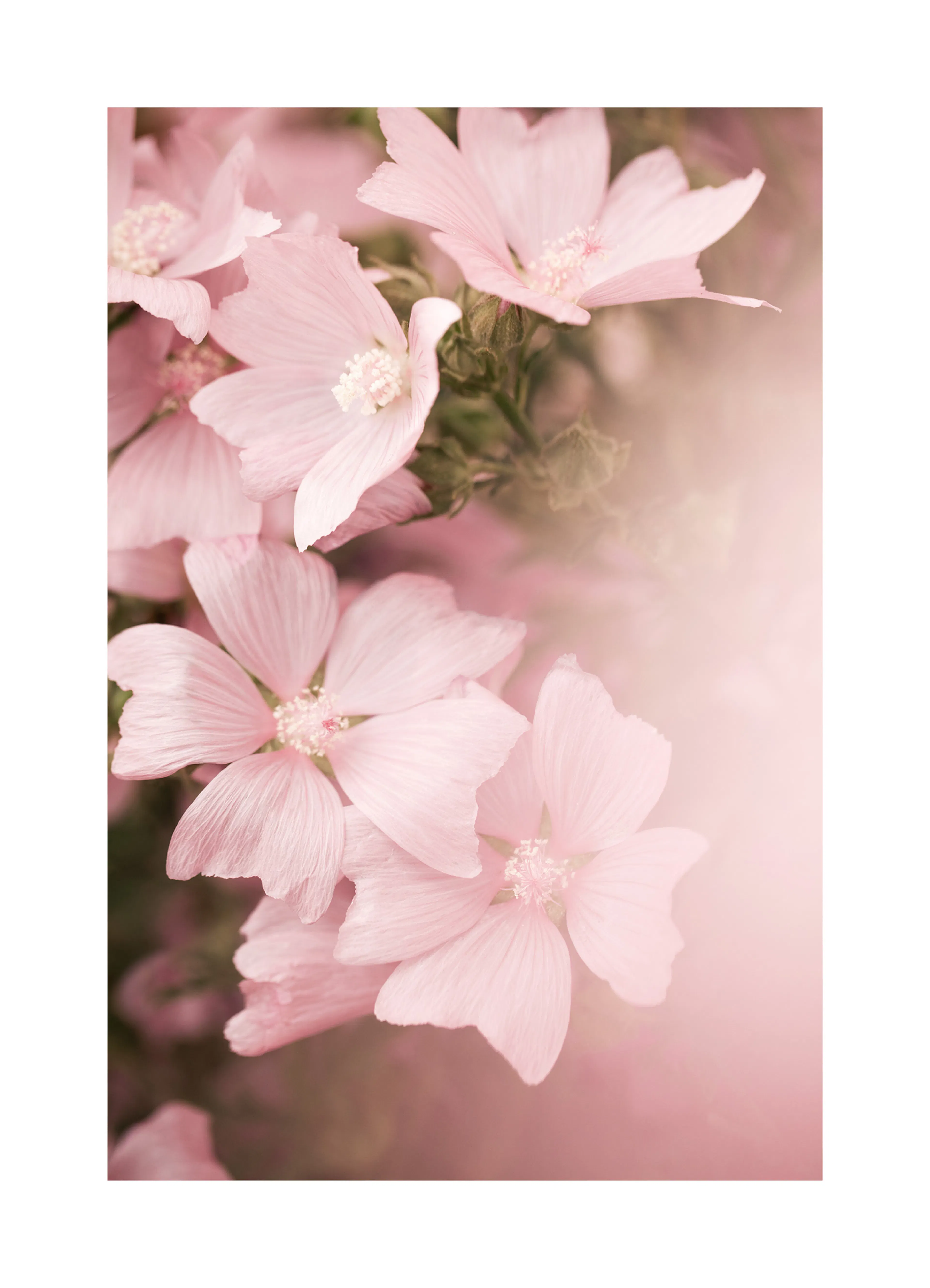 Product image: 1