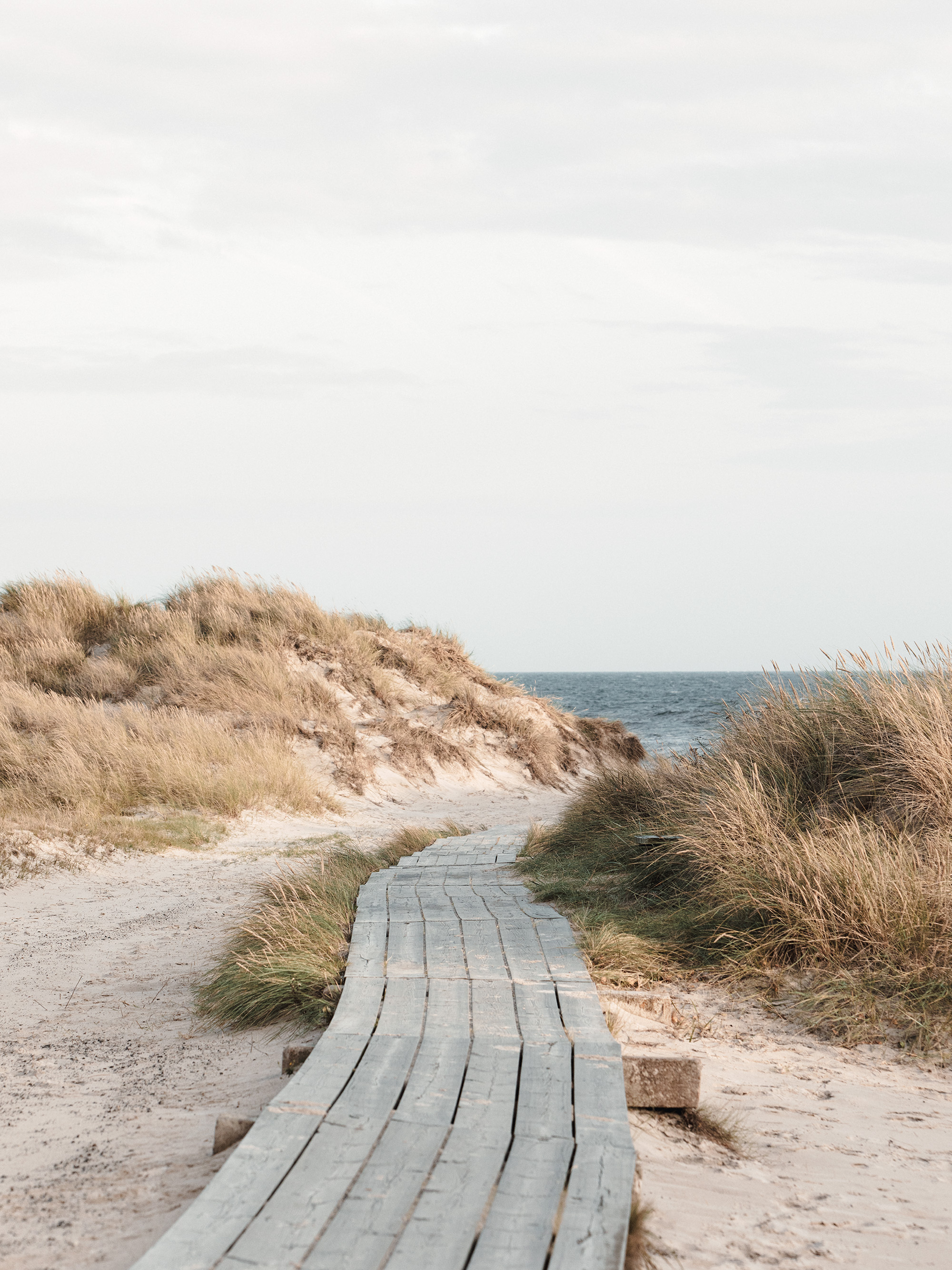 Coastal Beach Boardwalk Path Poster | Poster Store US