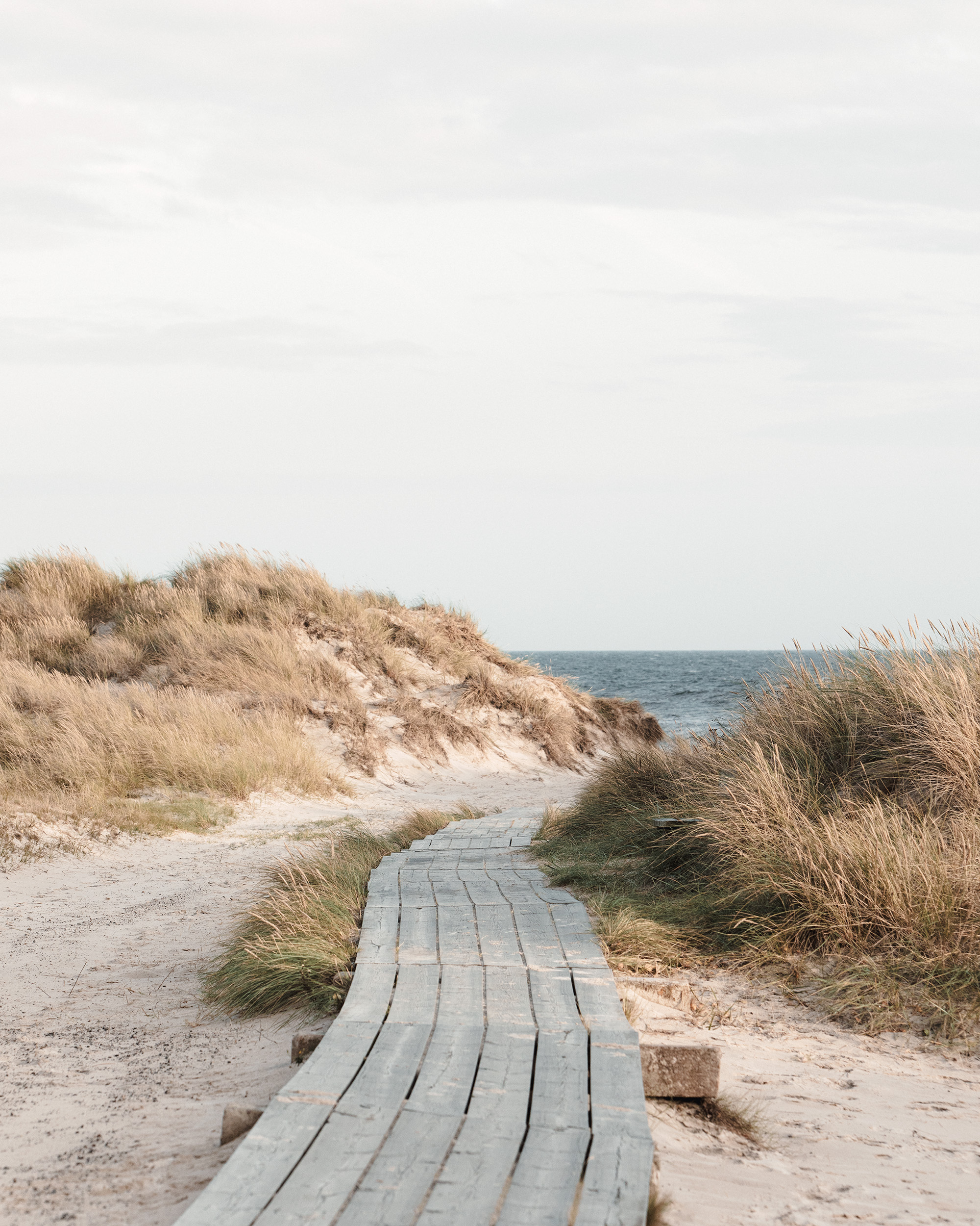 Coastal Beach Boardwalk Path Poster | Poster Store US