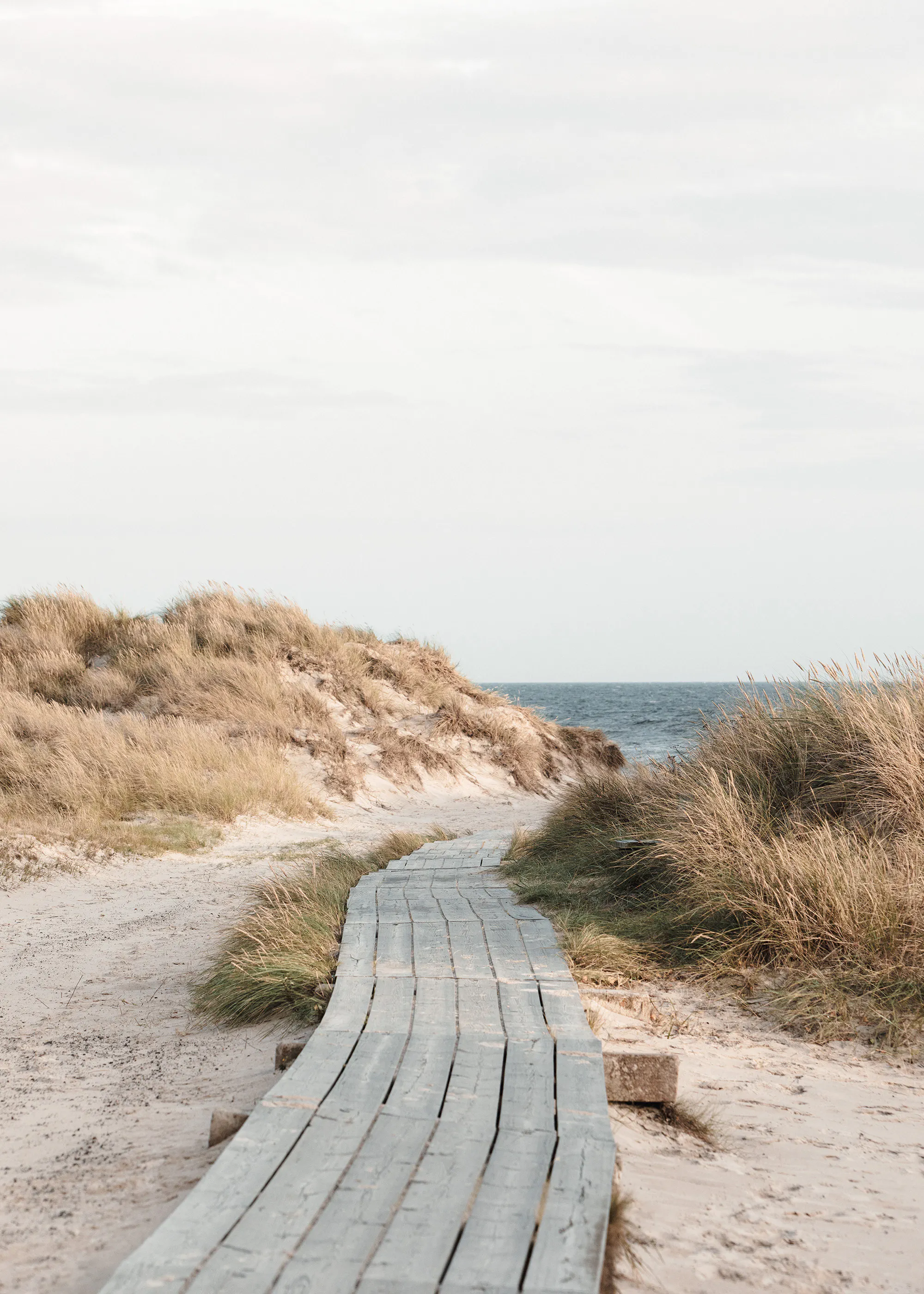 Beach Boardwalk Path Poster 0