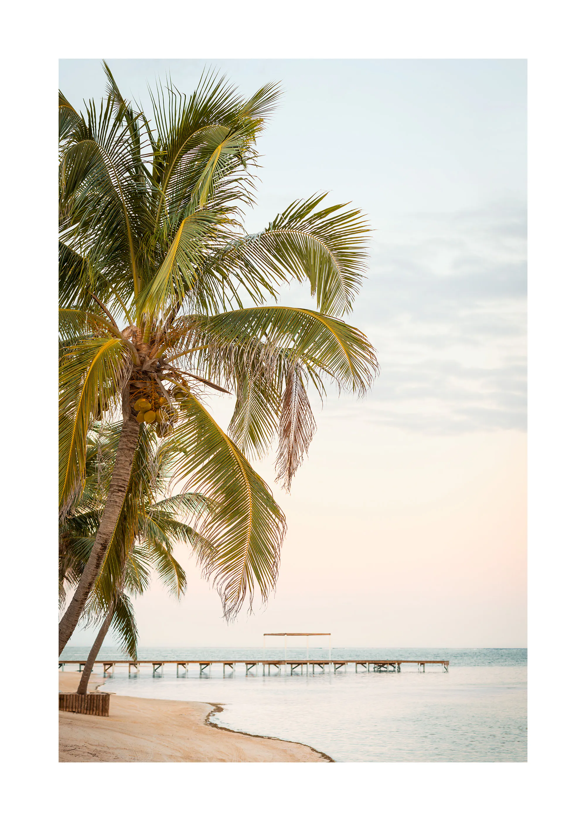 Palm Pier Sunset Plakat 0