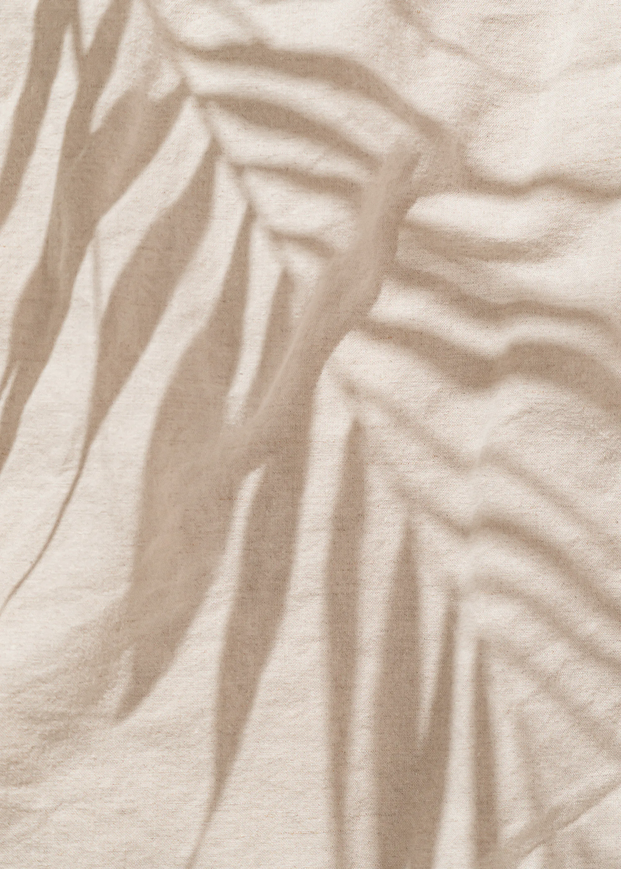 Palm Shadow Sand Poster 0