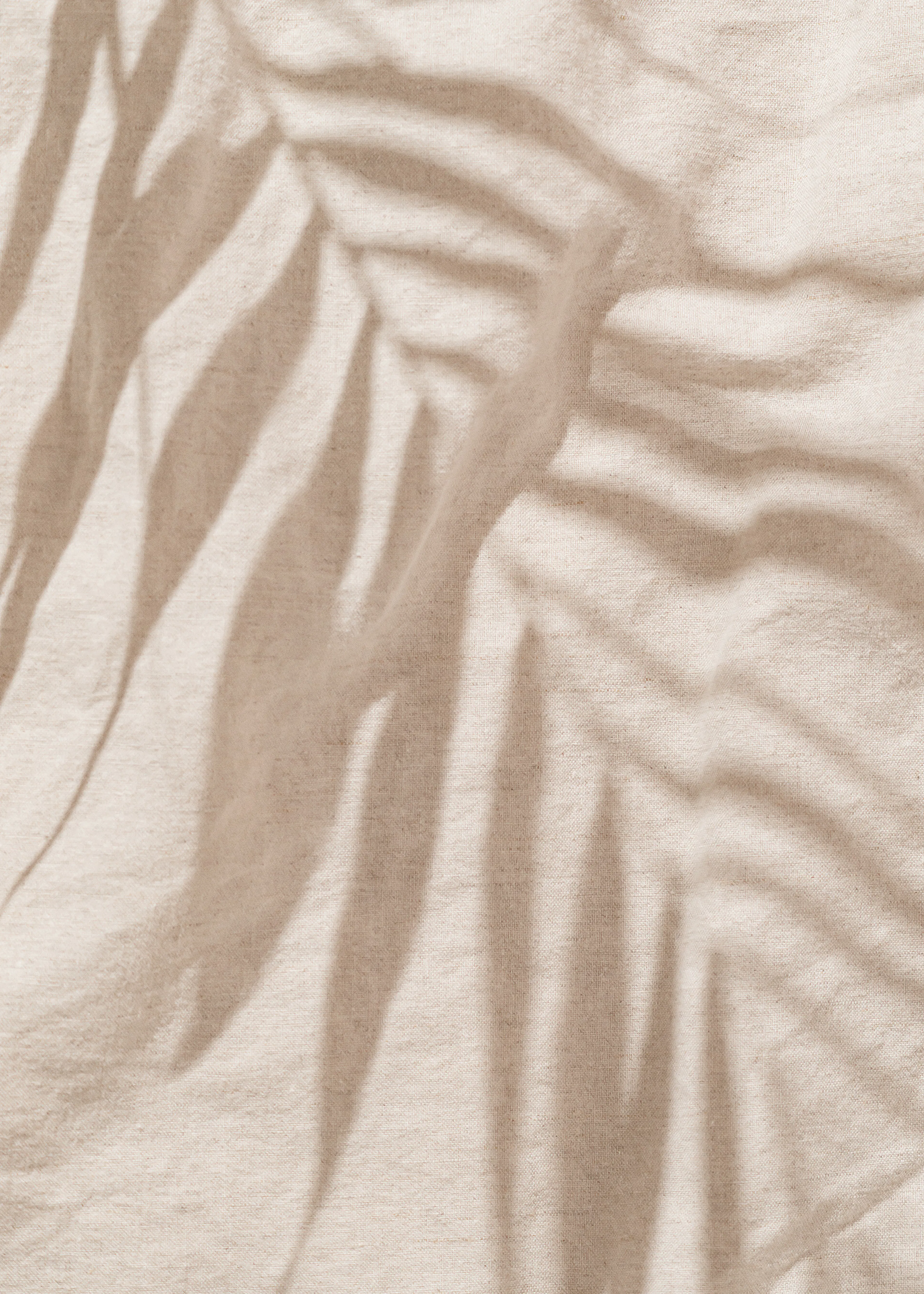 Palm Shadow Sand Poster 0