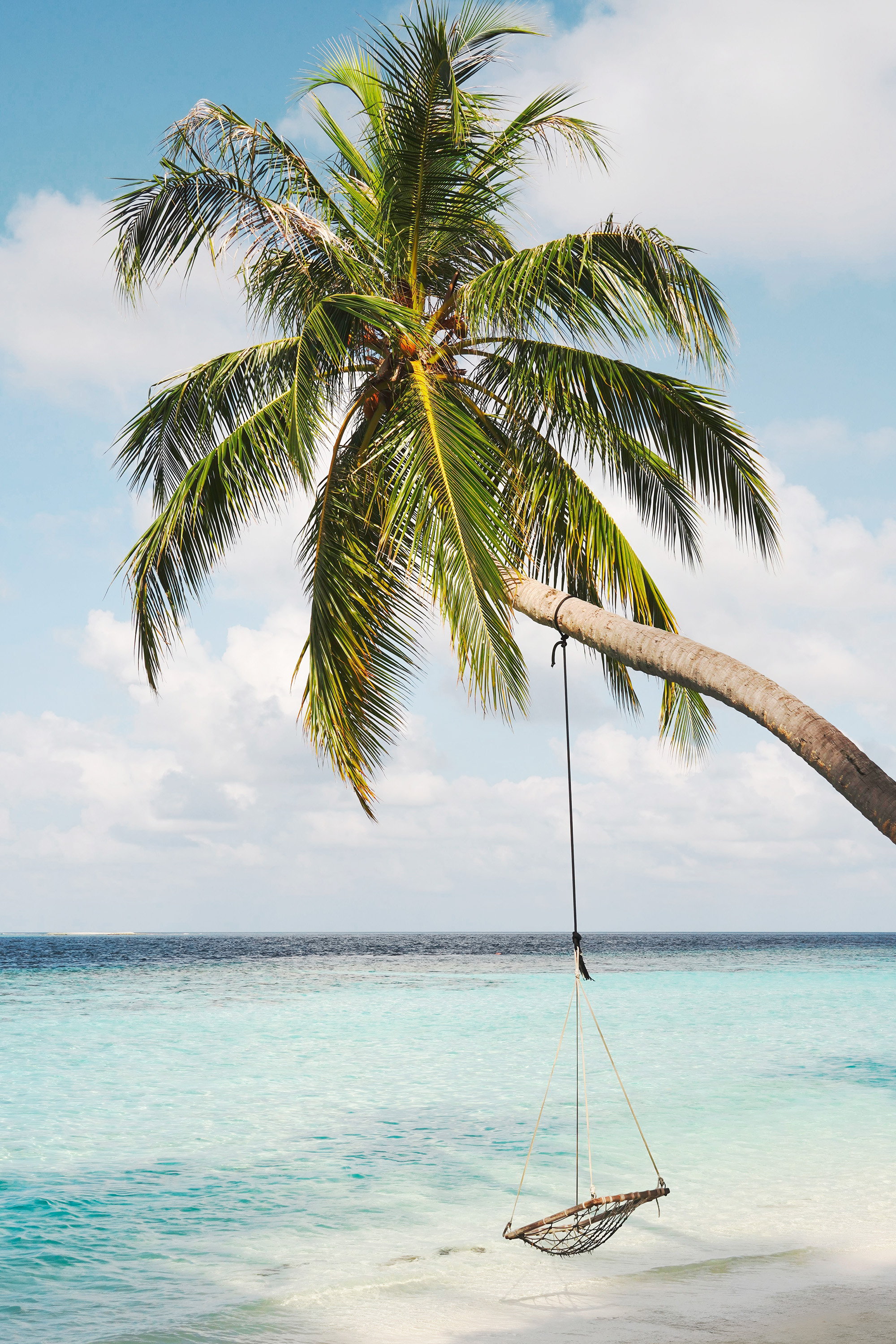 Palm Ocean Swing Tropical Beach Poster | Poster Store US