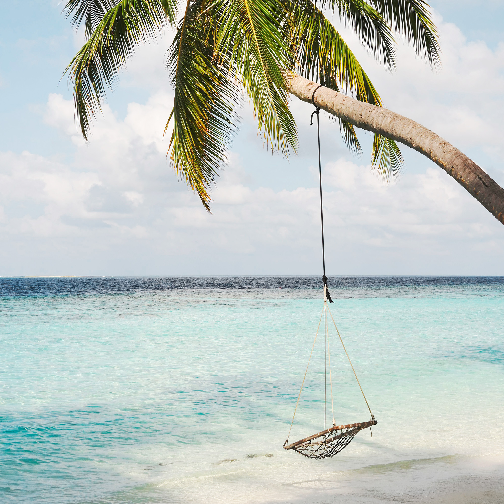 Palm Ocean Swing Tropical Beach Poster | Poster Store CA
