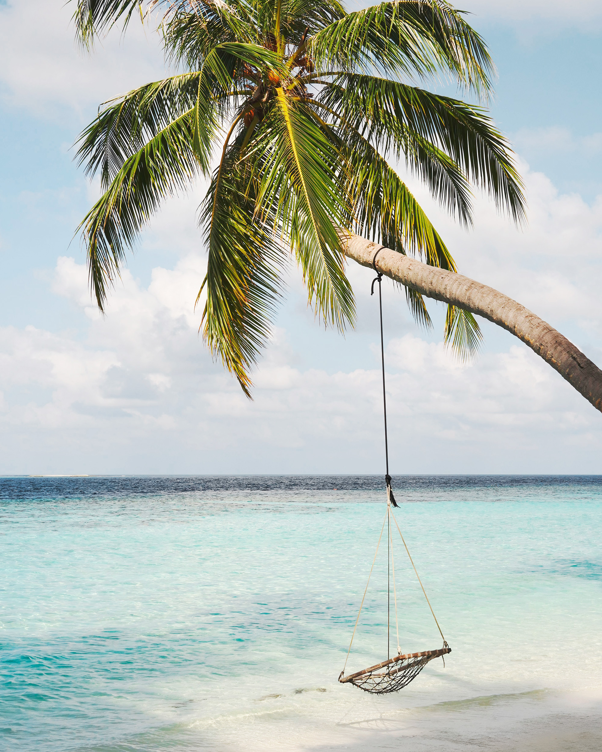 Palm Ocean Swing Tropical Beach Poster | Poster Store CA