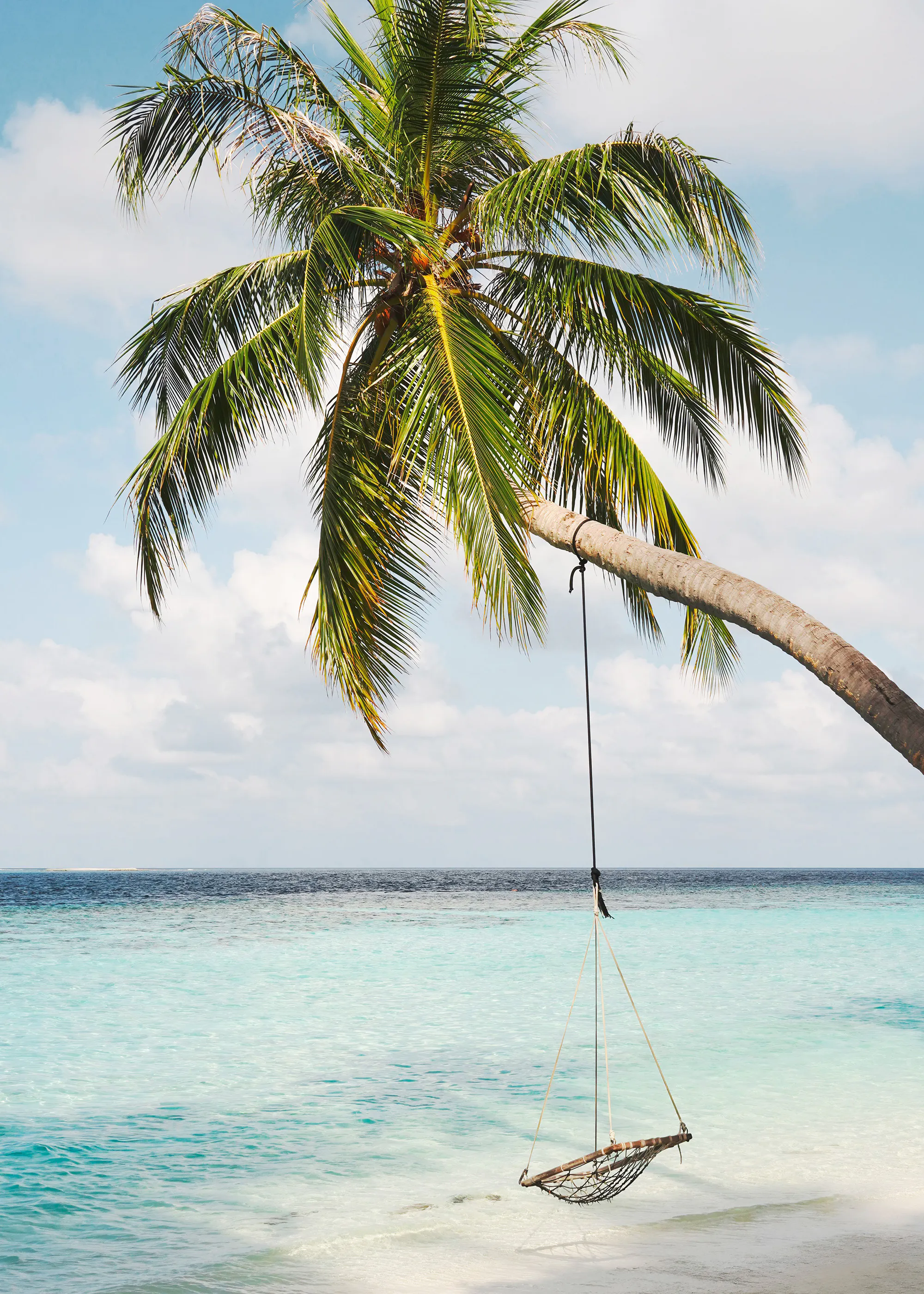 Palm Ocean Swing Affiche 0