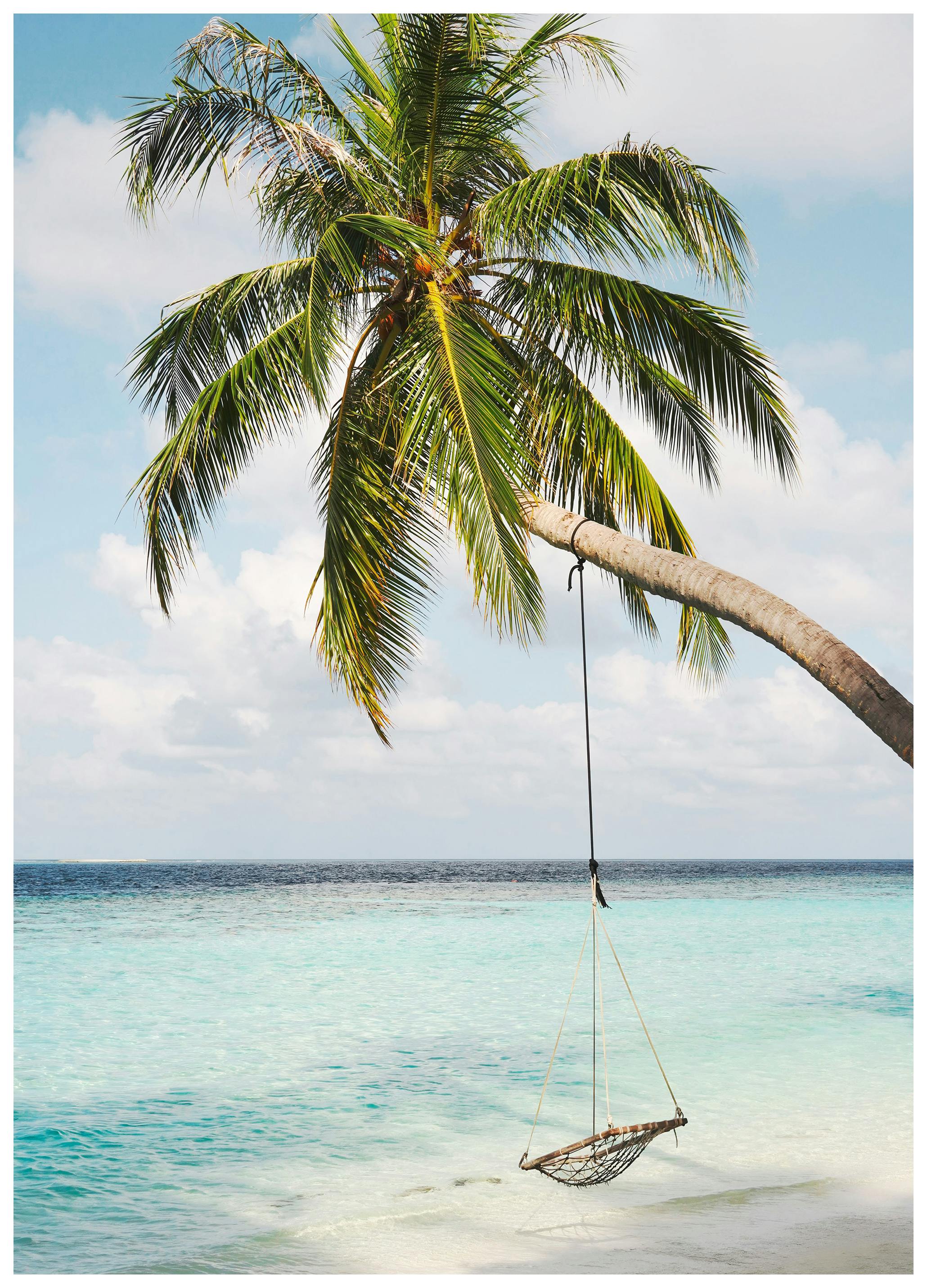 Palm Ocean Swing Poster (70x100 cm) - Poster Store