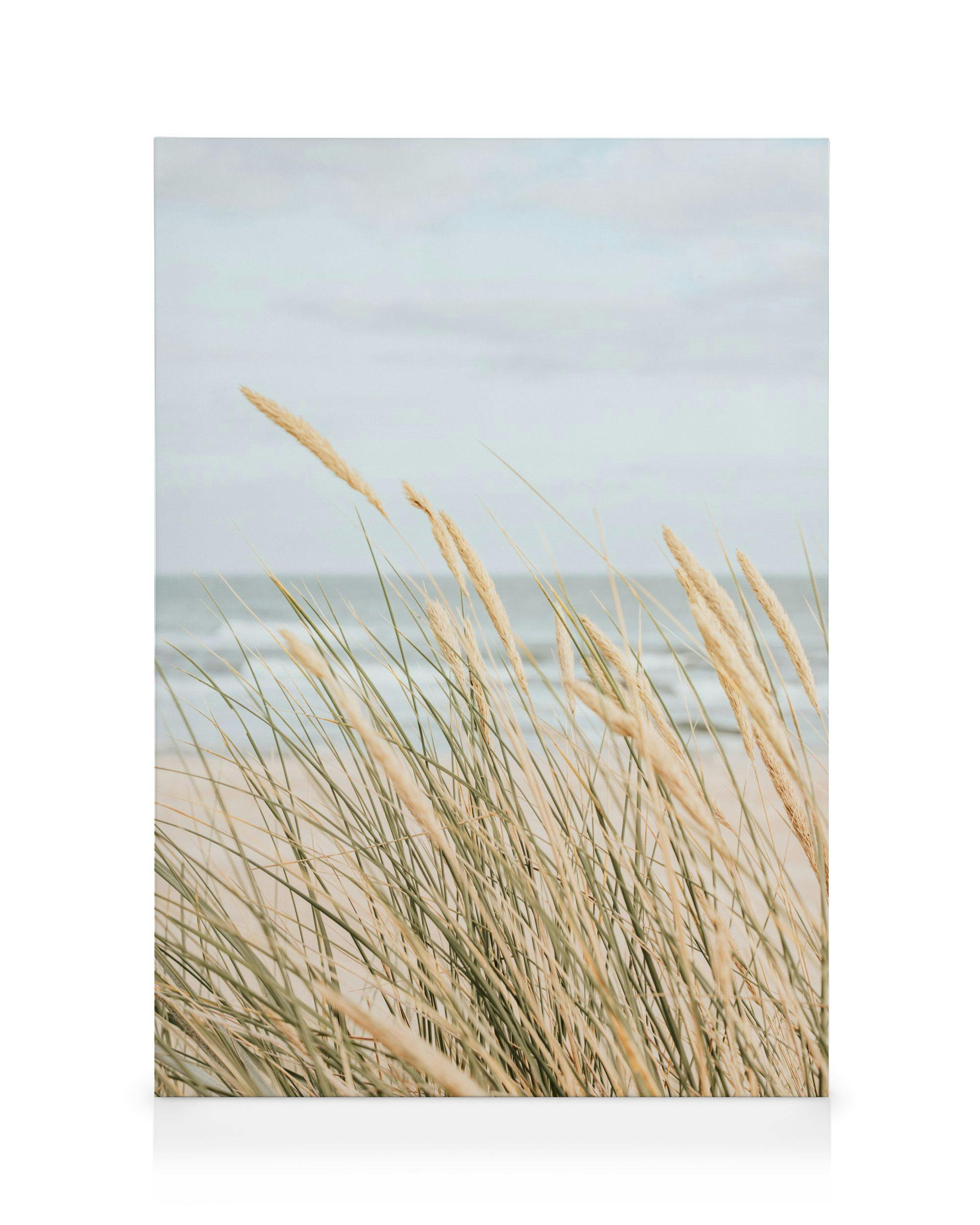 Coastal Beach Grass Canvas print (70x100 cm - Black Frame) - Poster Store High Quality Picture Frames