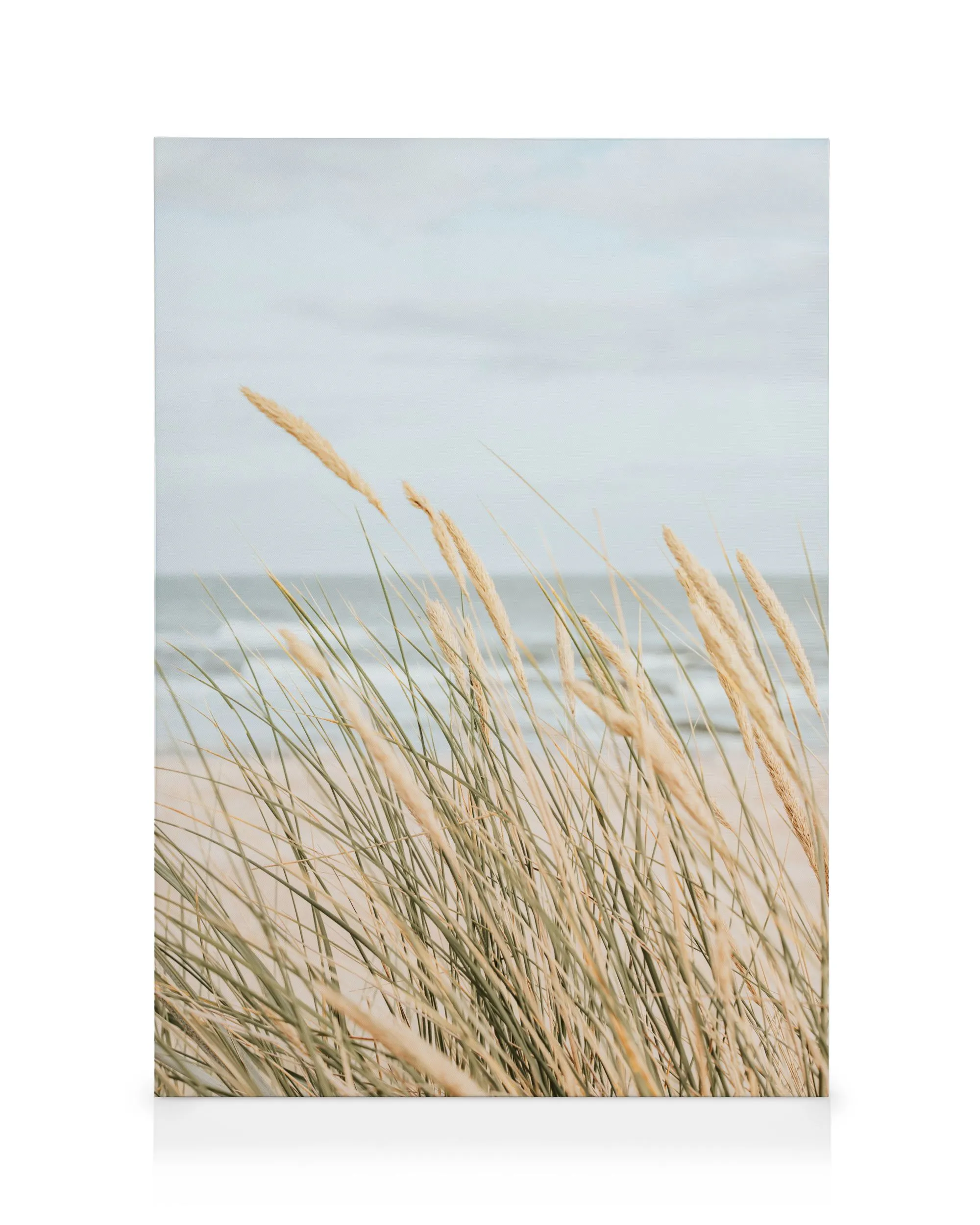 Coastal Beach Grass Leinwand 0