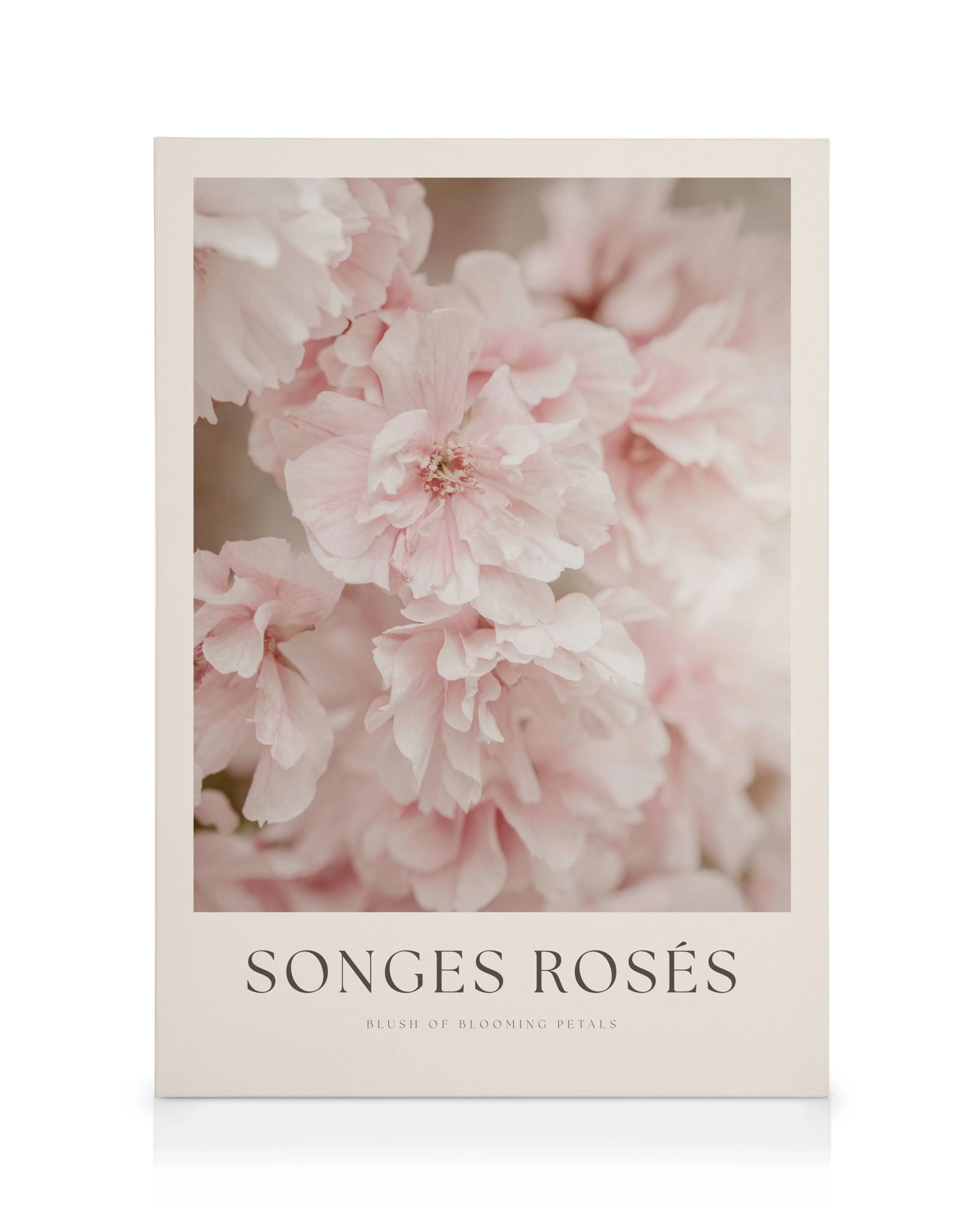 Pink Roses Leinwand 0