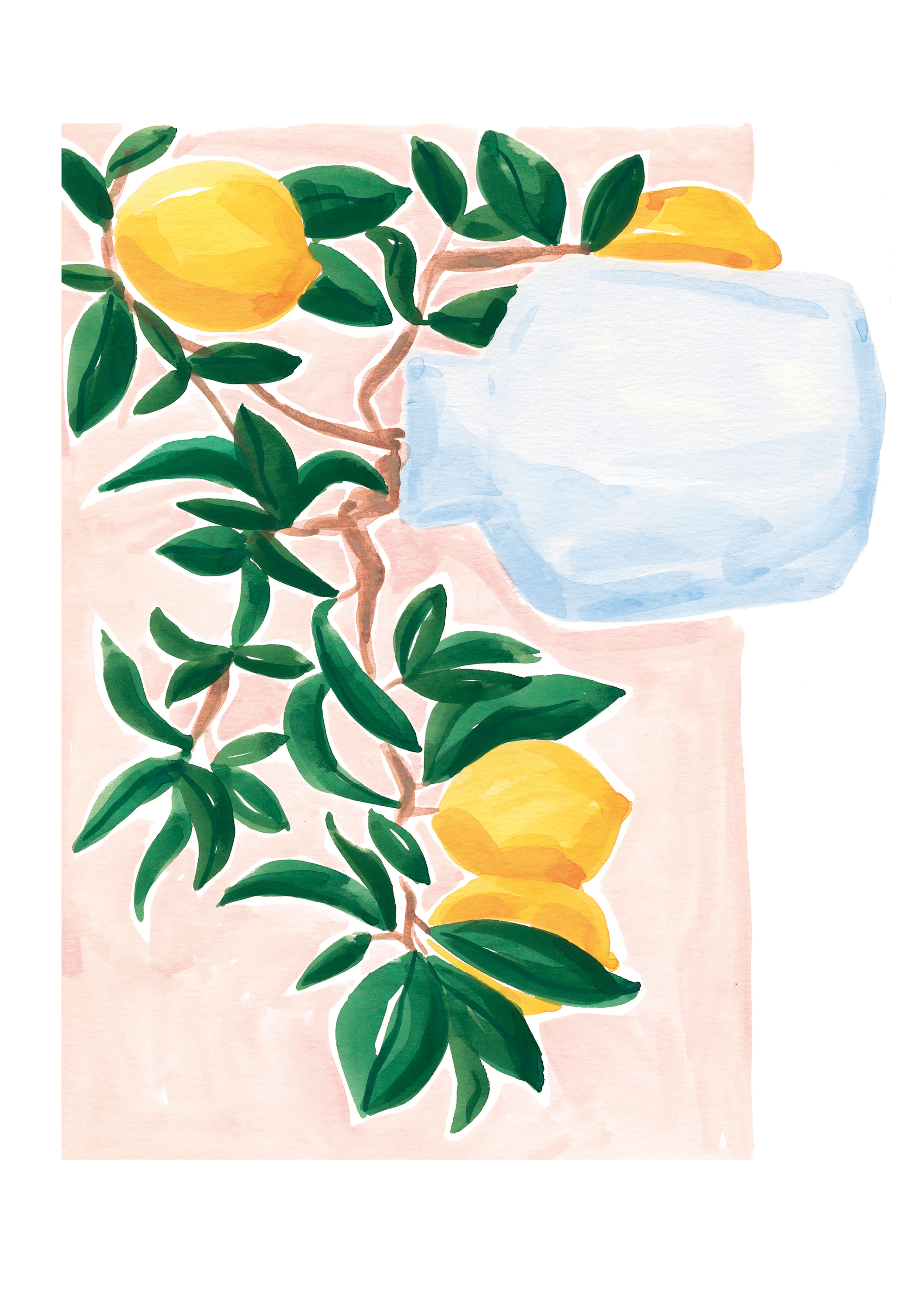 Sabina Fenn - Lemon Vase Poster 0