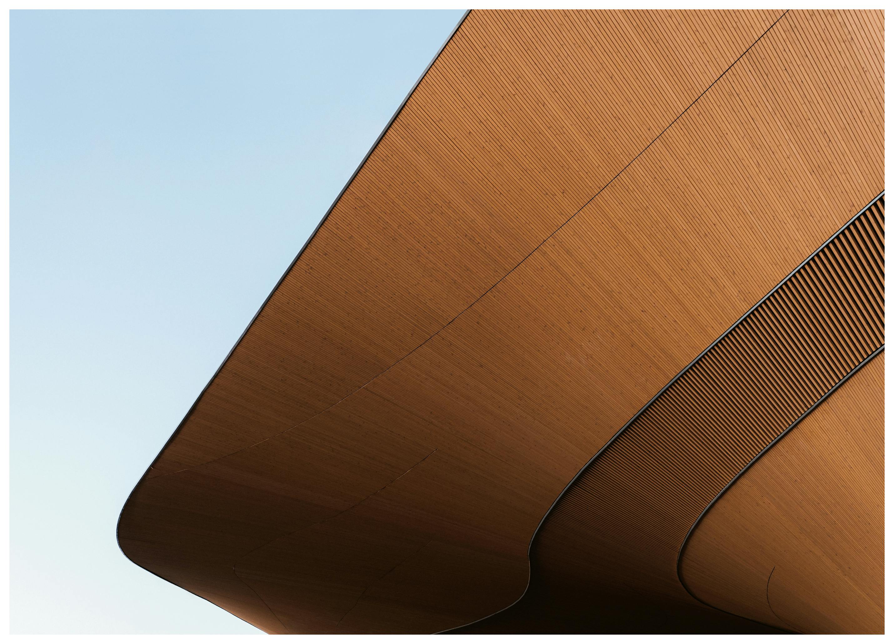 Design Toit Courbé Affiche (40x50 cm) - Poster Store