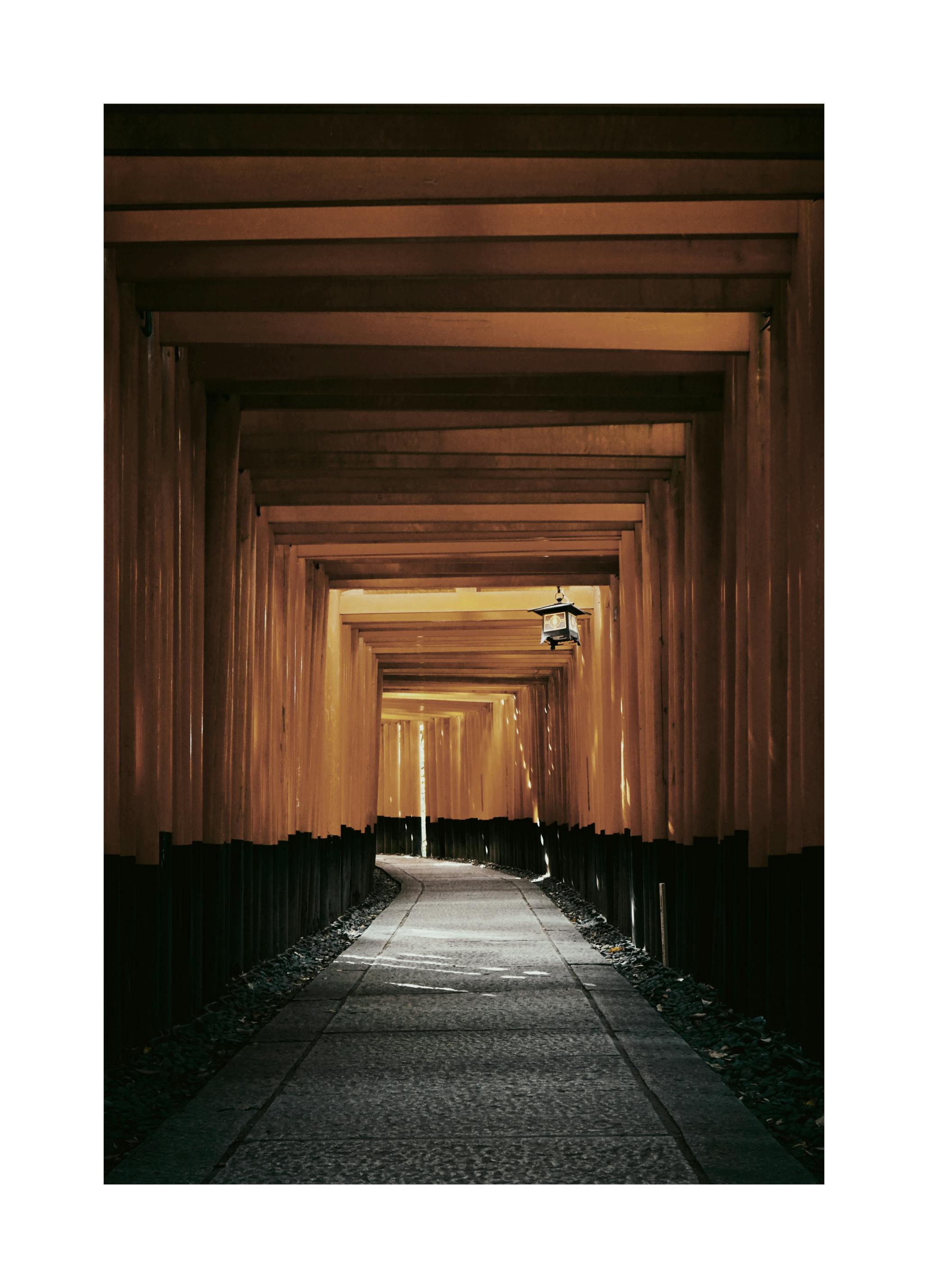 Japanese Torii Gates Poster (50x70 cm) - Poster Store