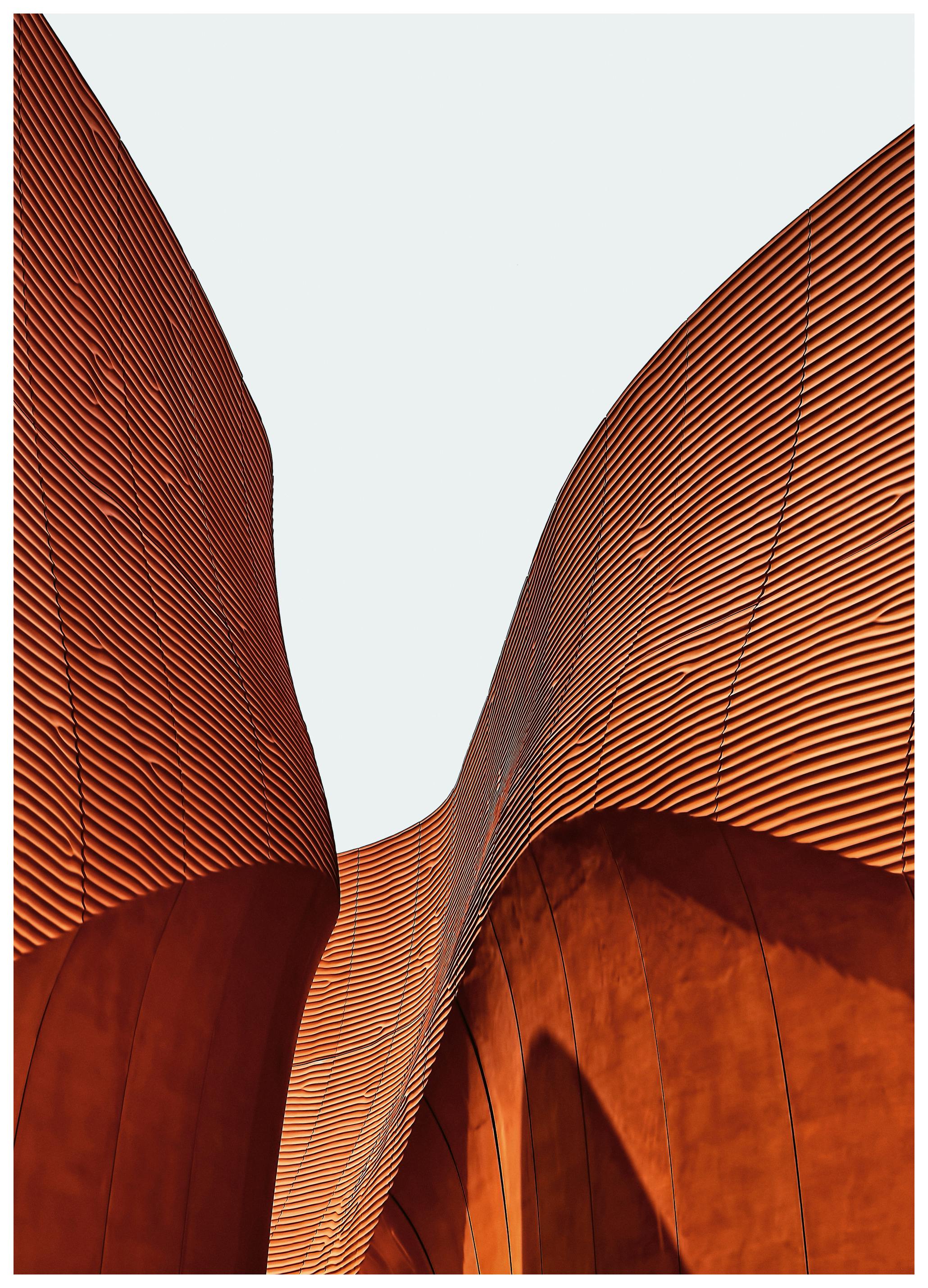 Böjd Trästruktur Poster (30x40 cm) - Poster Store