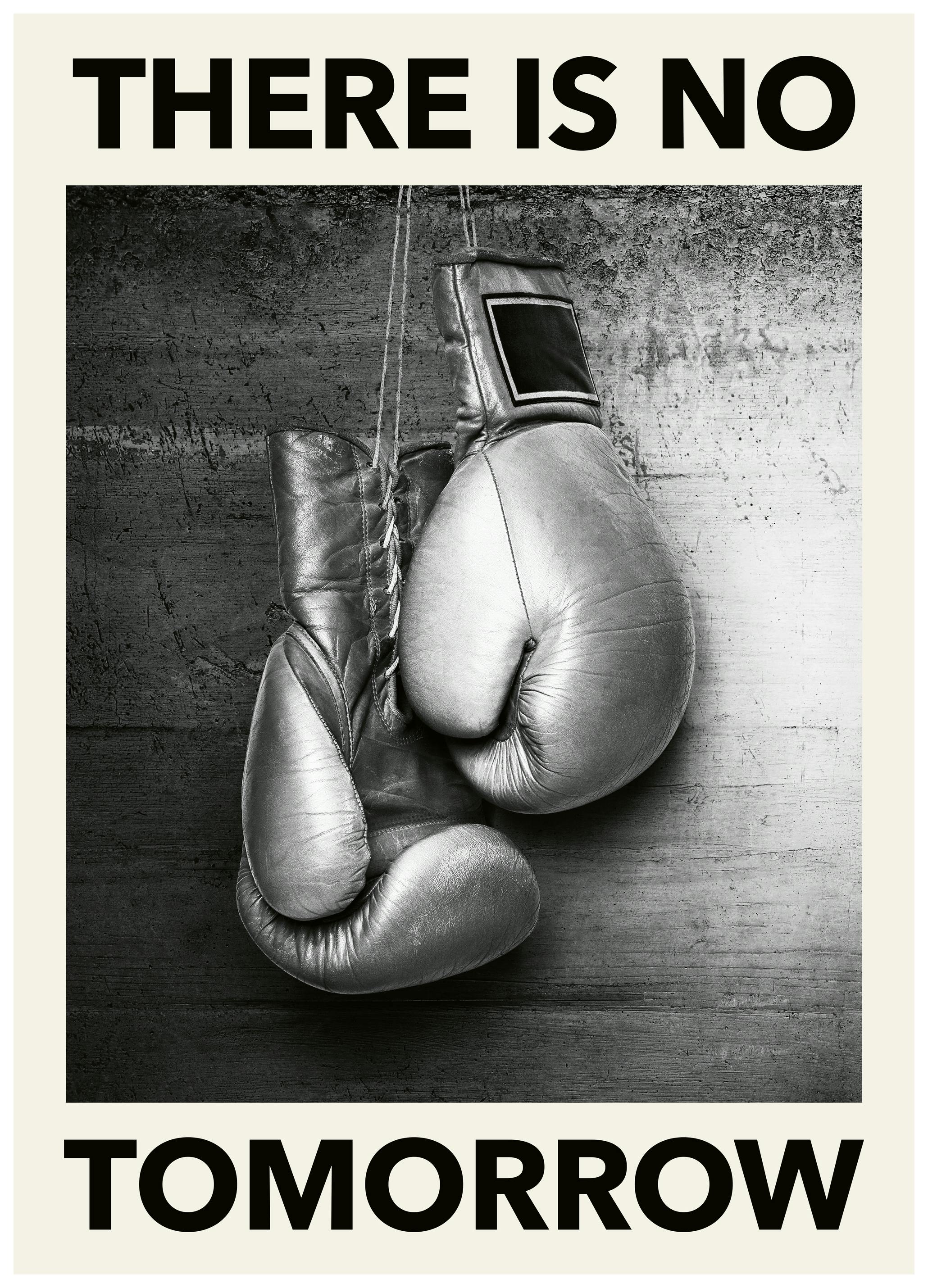 Bokshandschoenen Poster (40x50 cm) - Poster Store