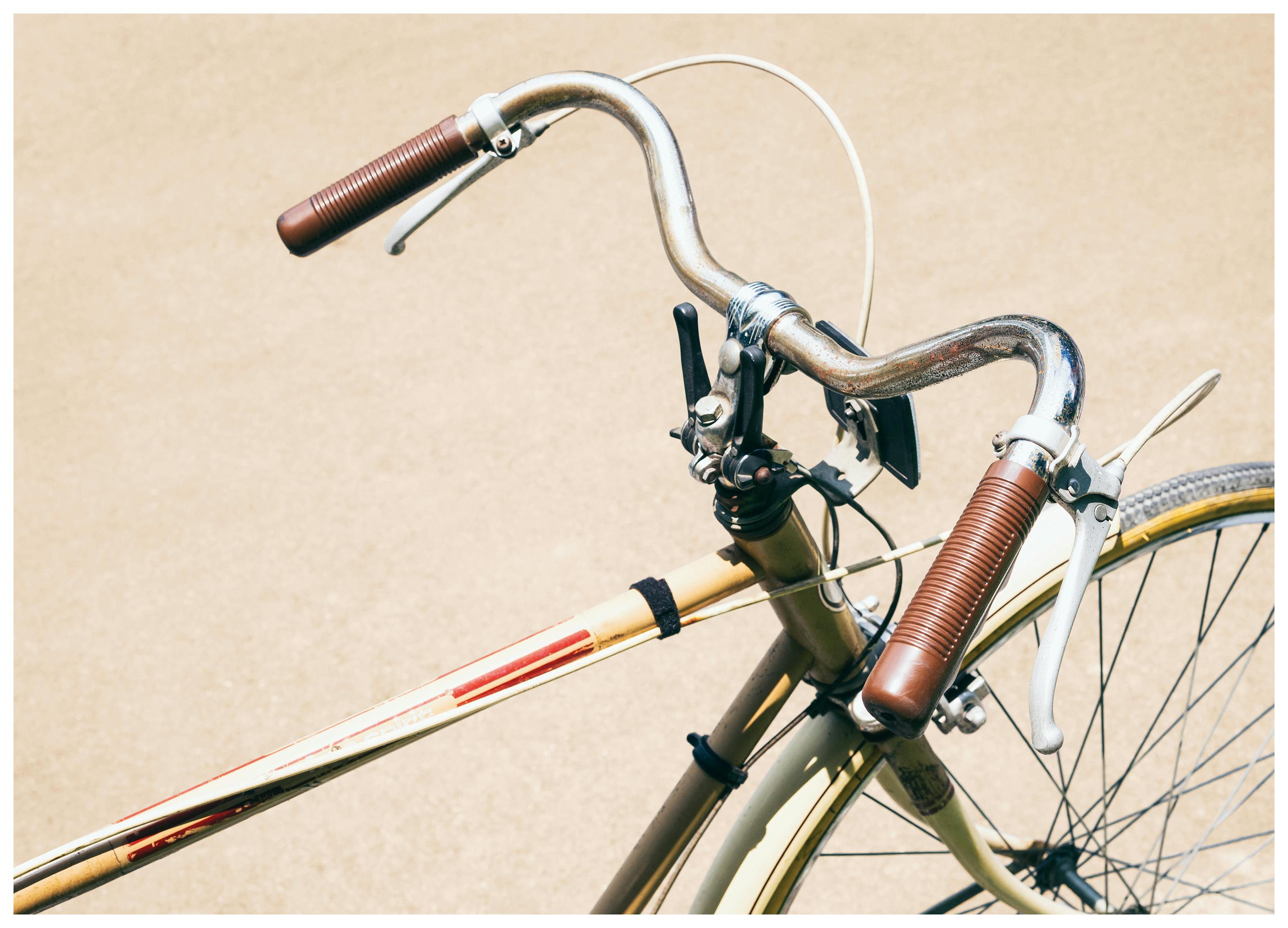 Vintage Bicycle Poster (70x100 cm) - Poster Store