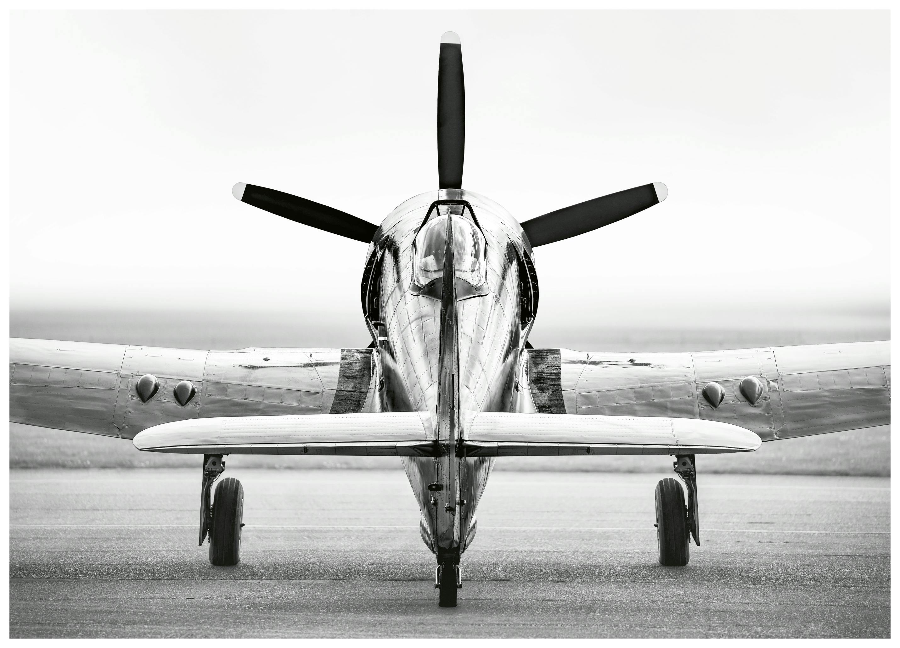 Retro Aircraft Poster (40x50 cm) - Poster Store