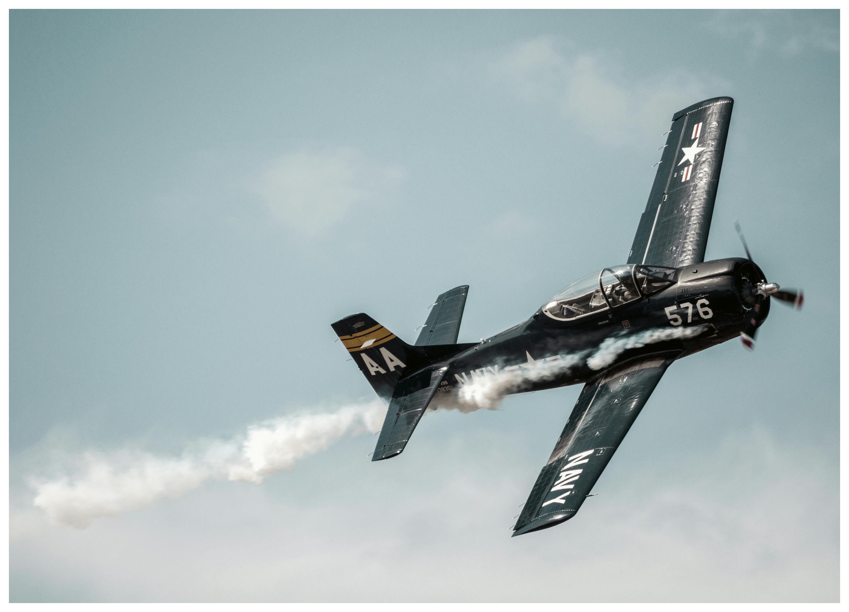 Marine Fly Plakat (30x40 cm) - Poster Store