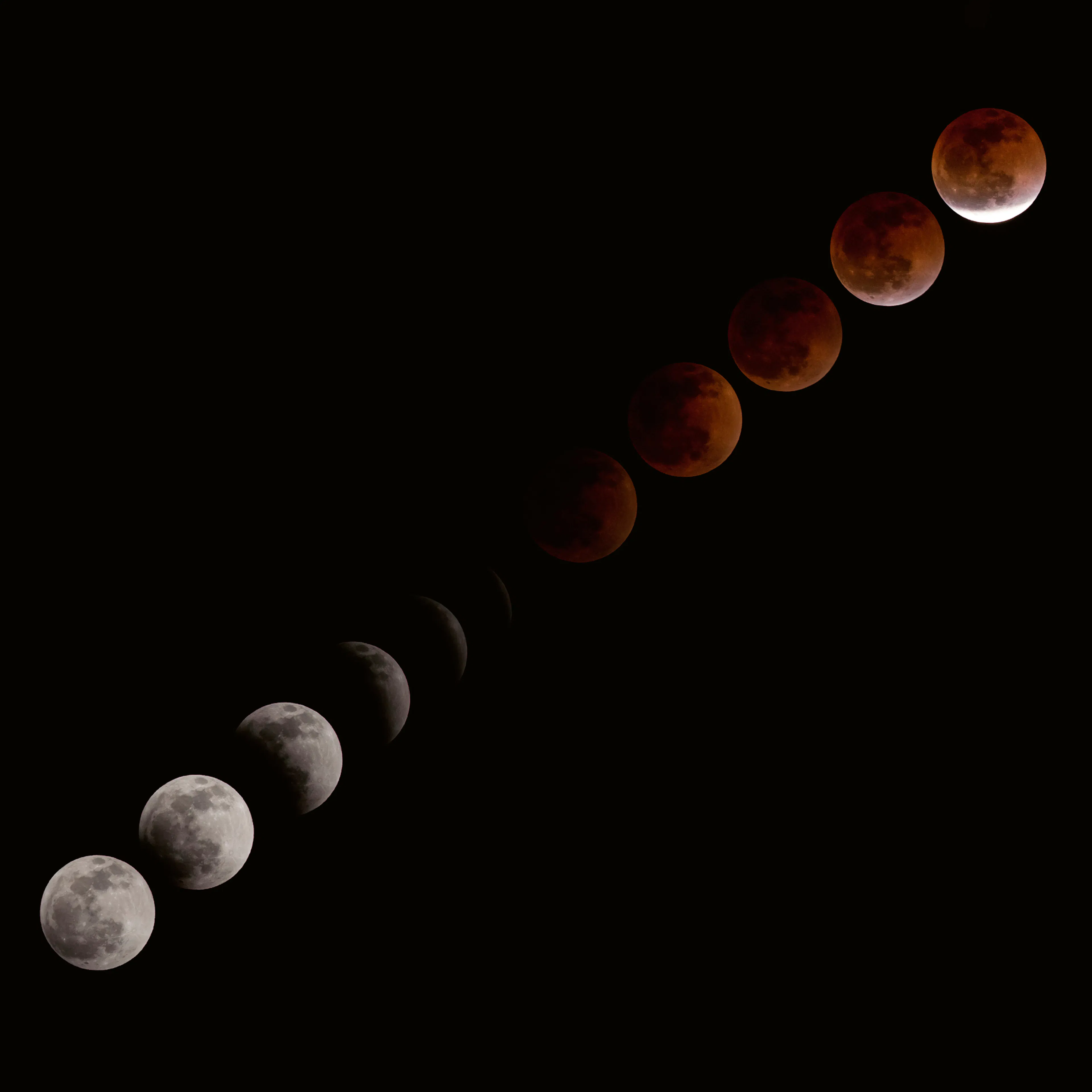 Fasi dell'Eclissi Lunare Poster 0