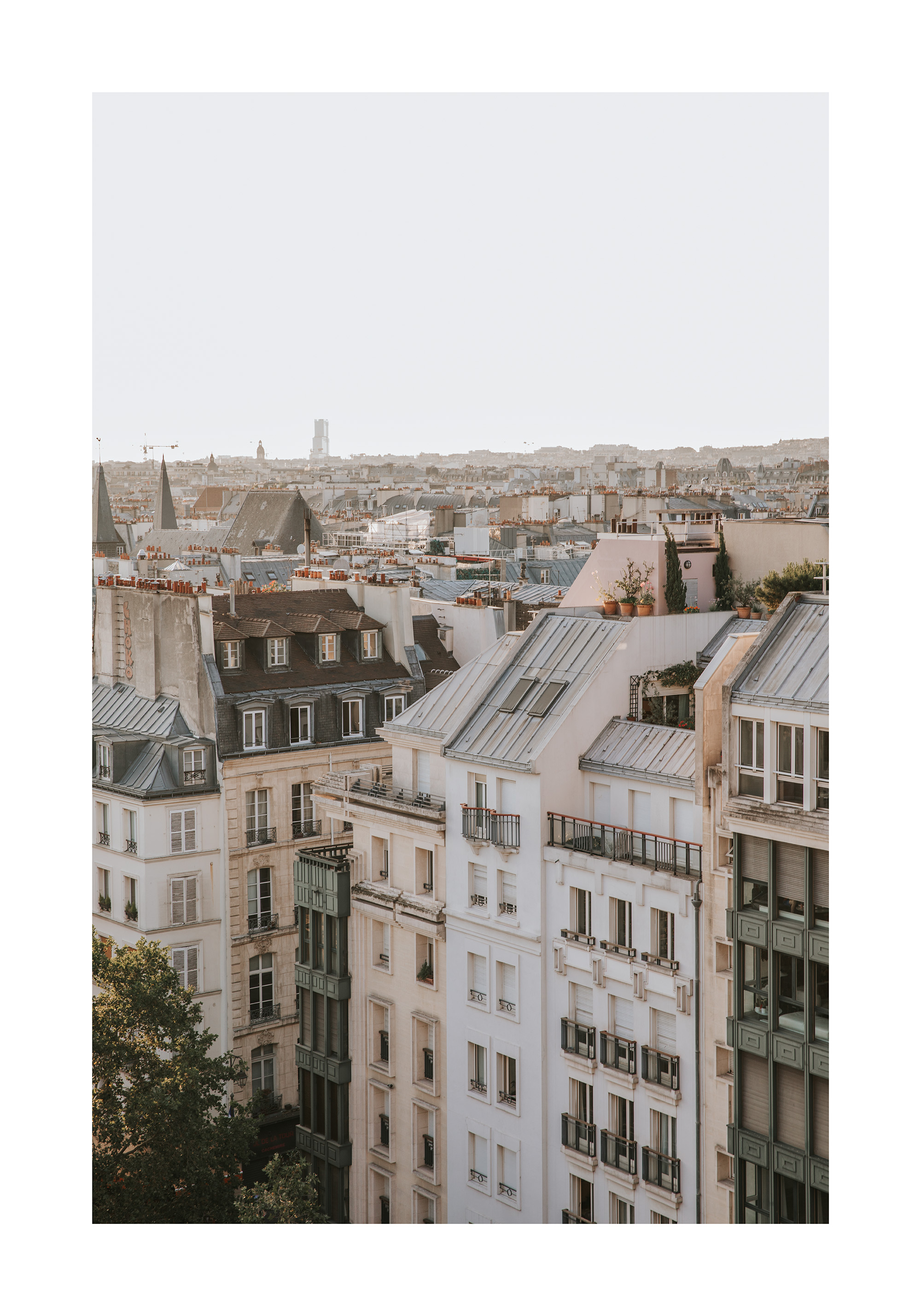 Paris Rooftops Architecture Poster | Poster Store US