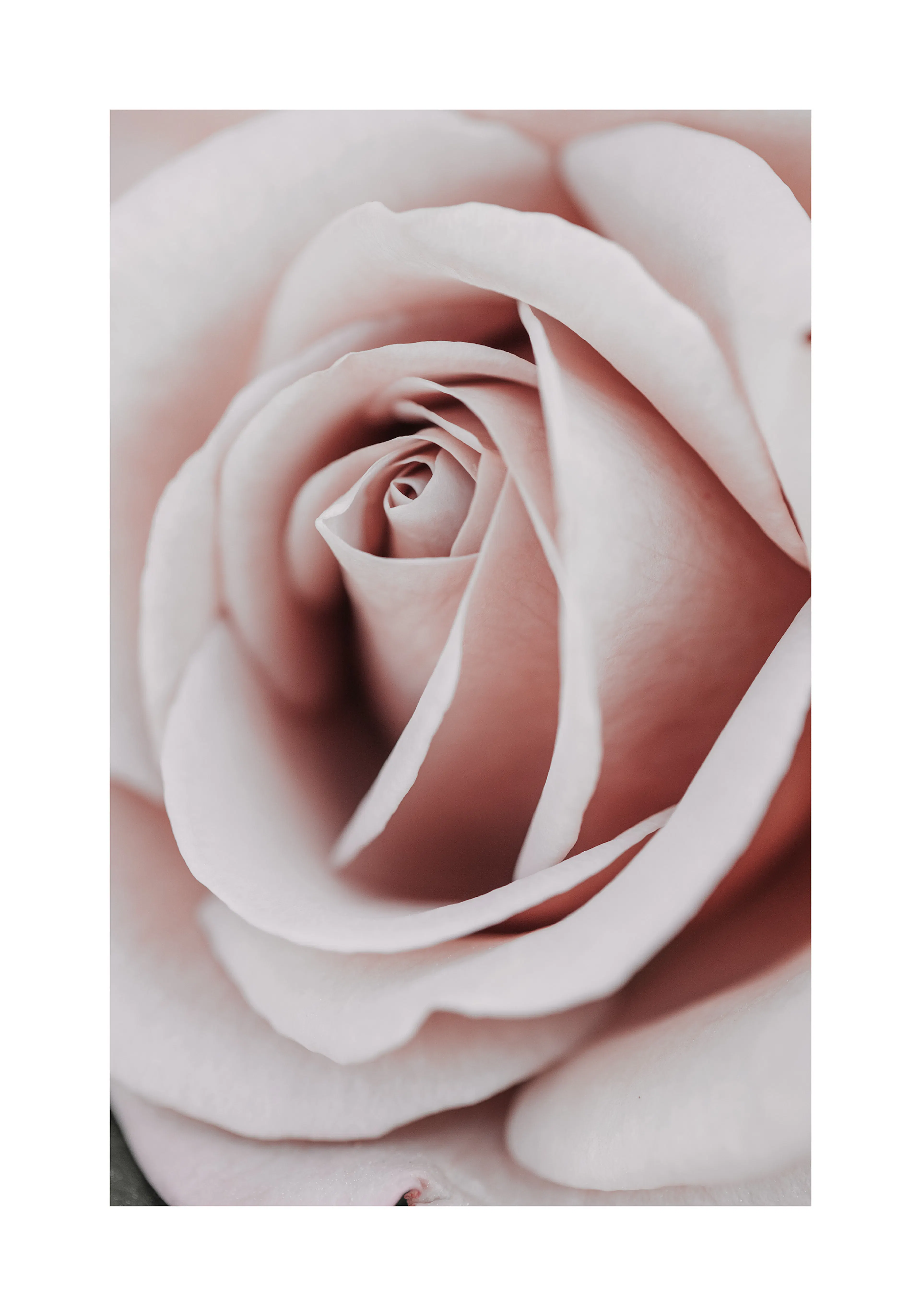 Product image: 1