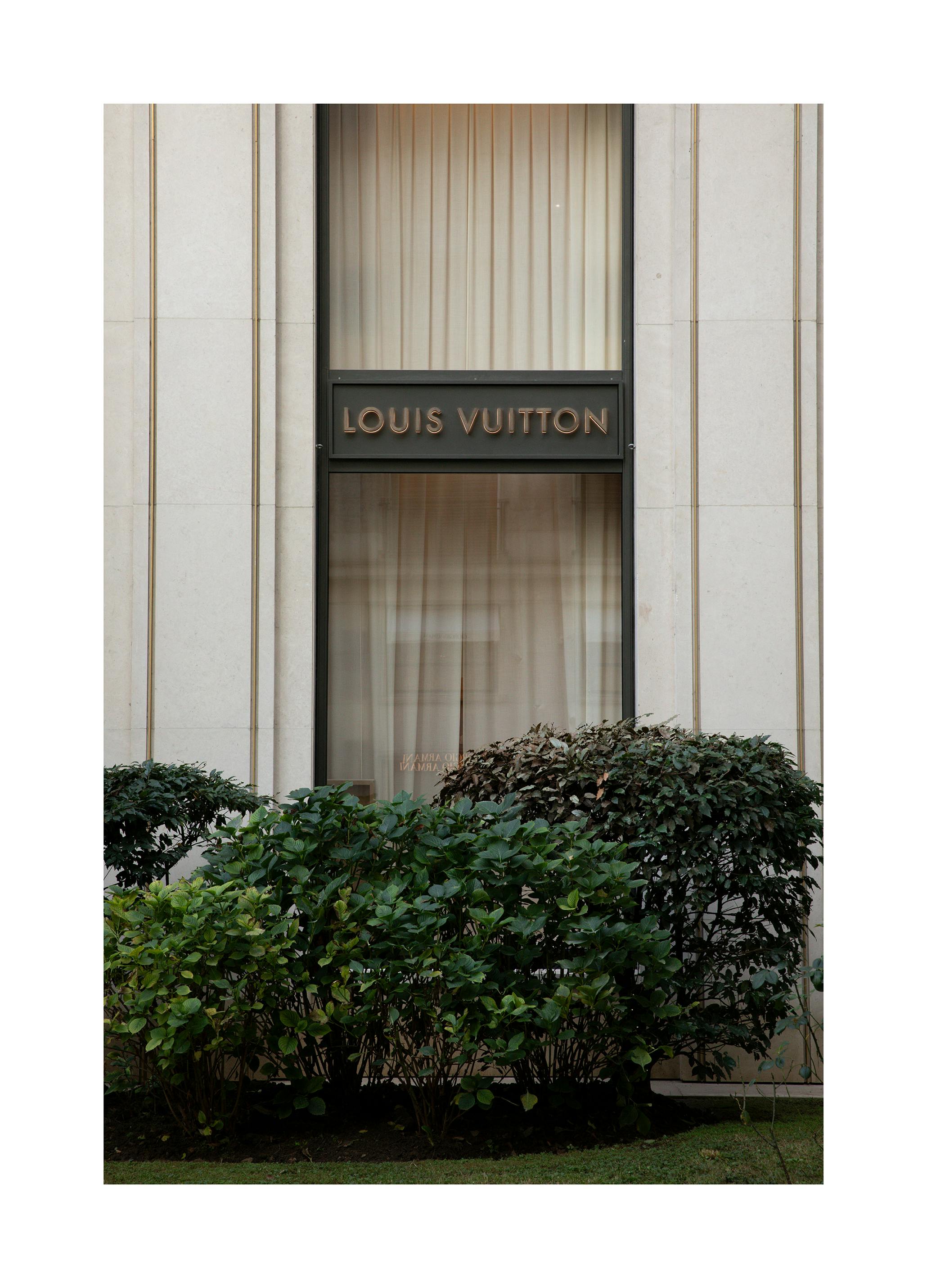 Louis Vuitton Poster (50x70 cm) - Poster Store