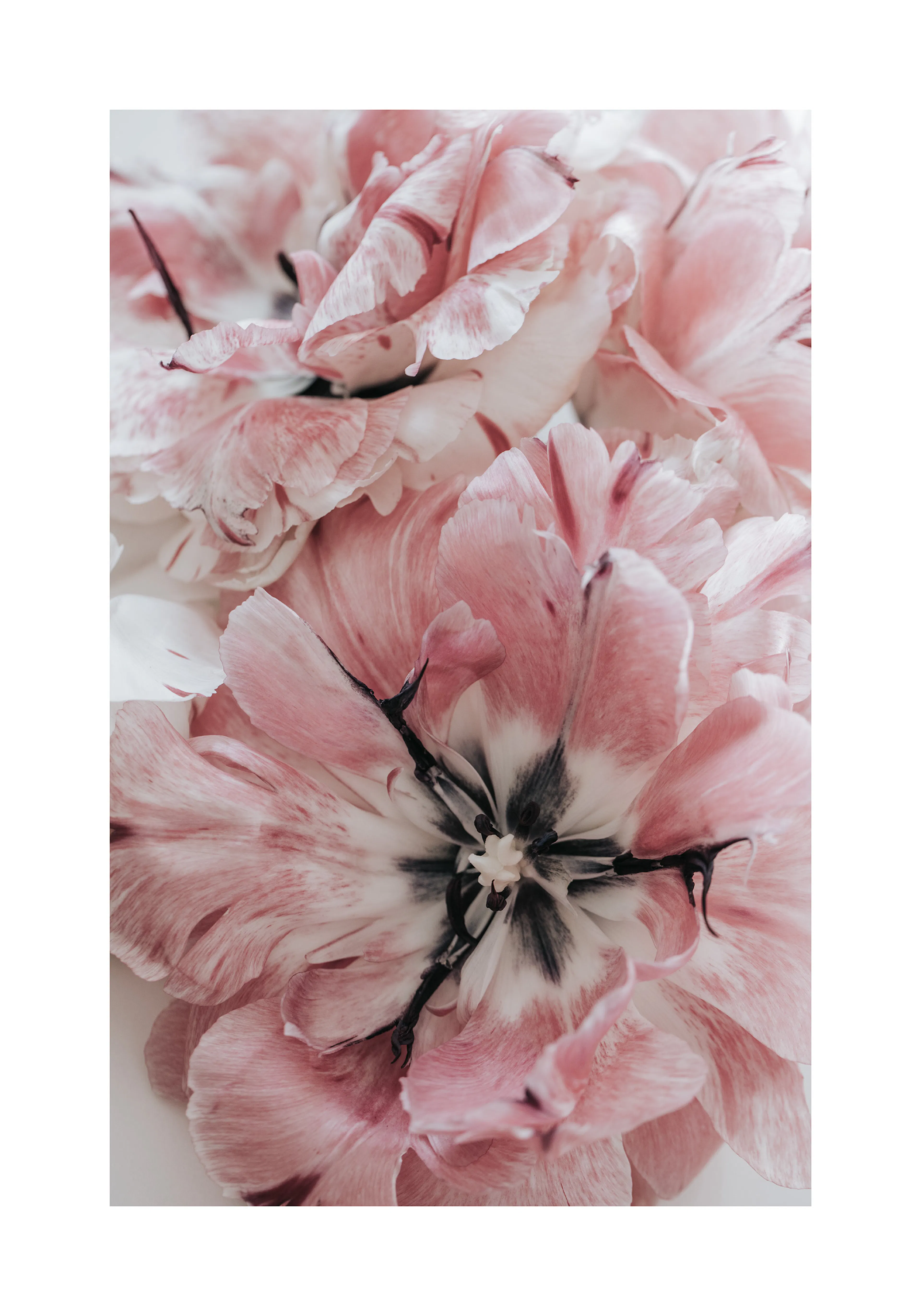 Product image: 1
