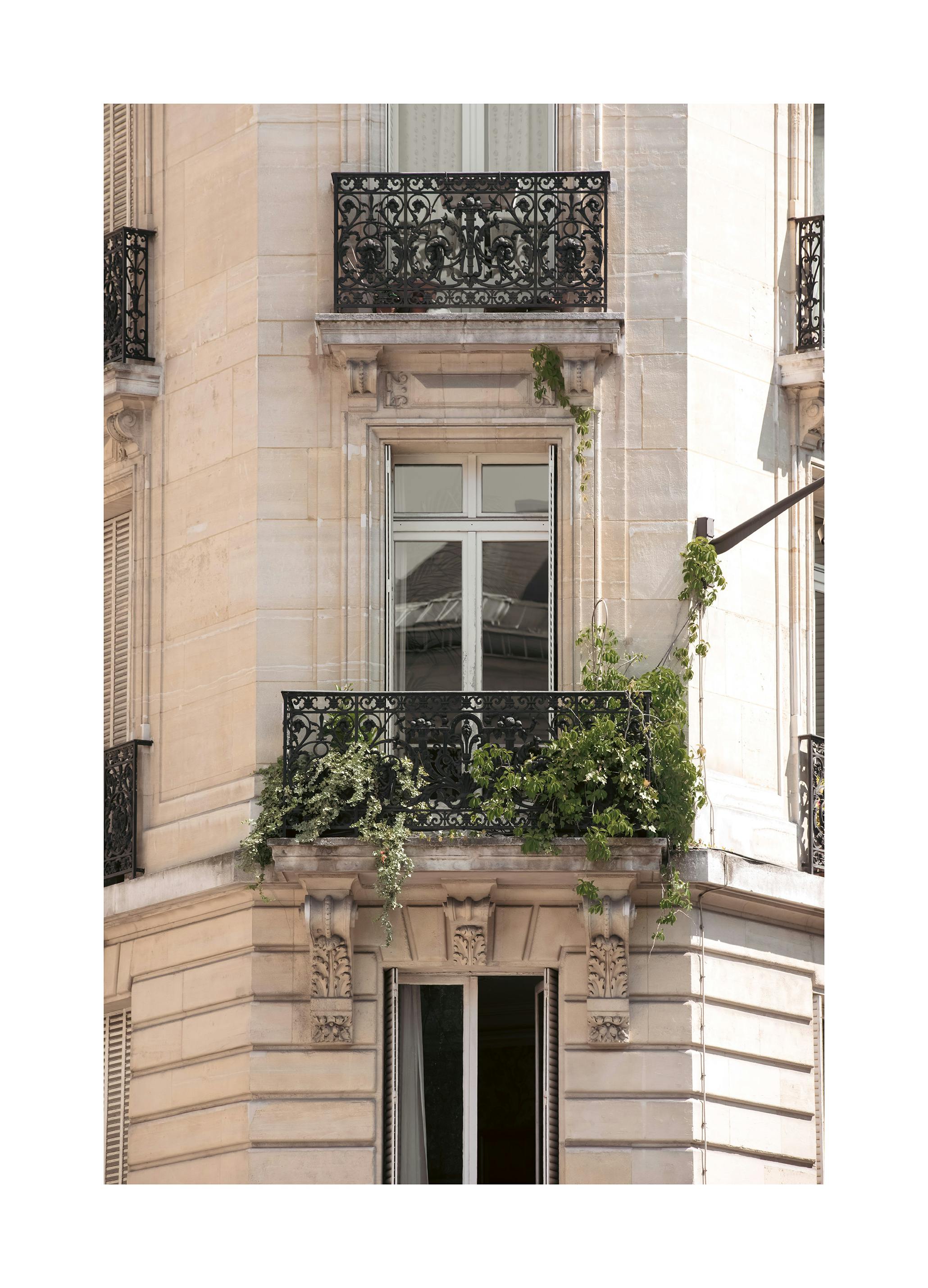 Architettura Elegante Poster (70x100 cm) - Poster Store