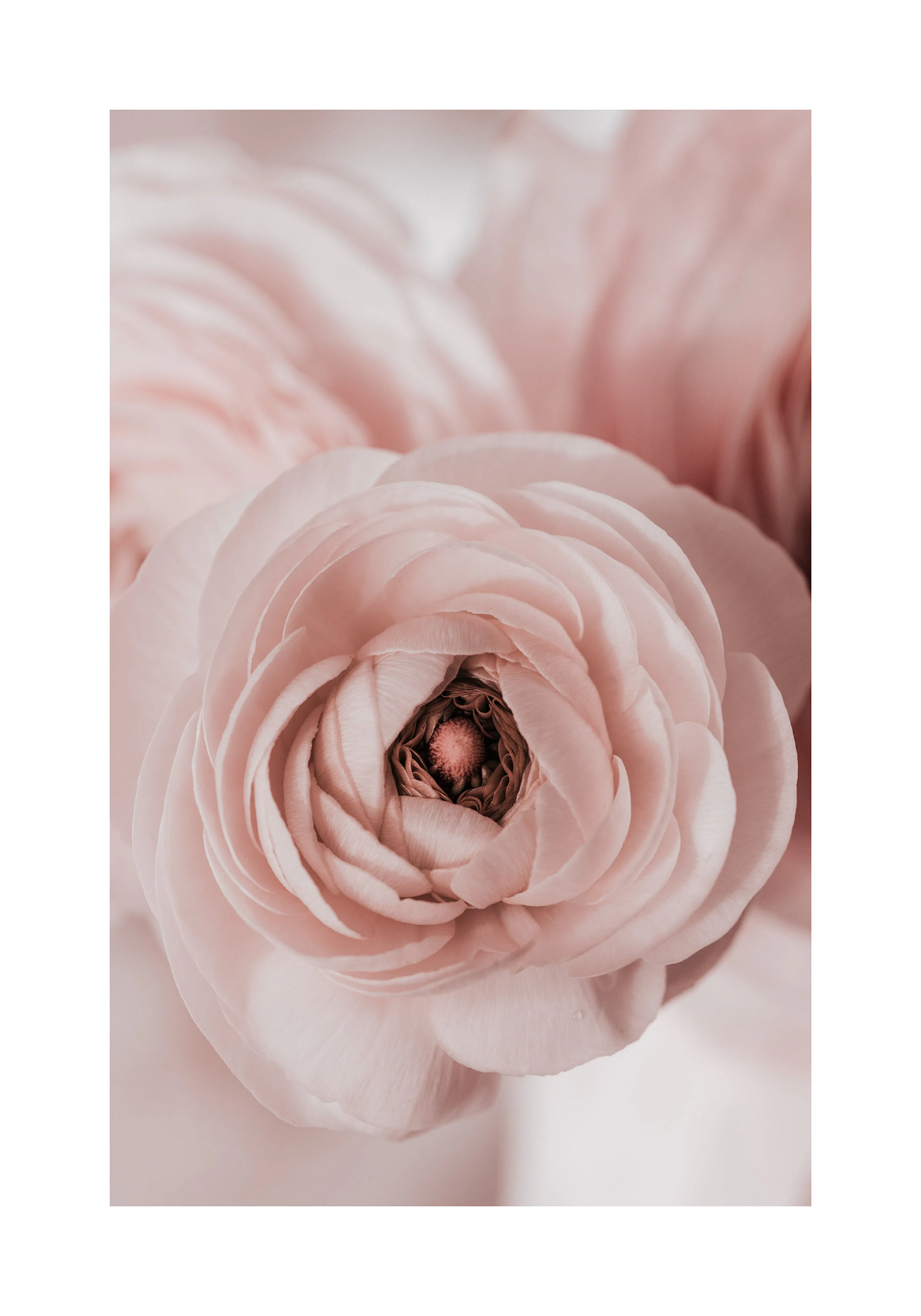 Product image: 1