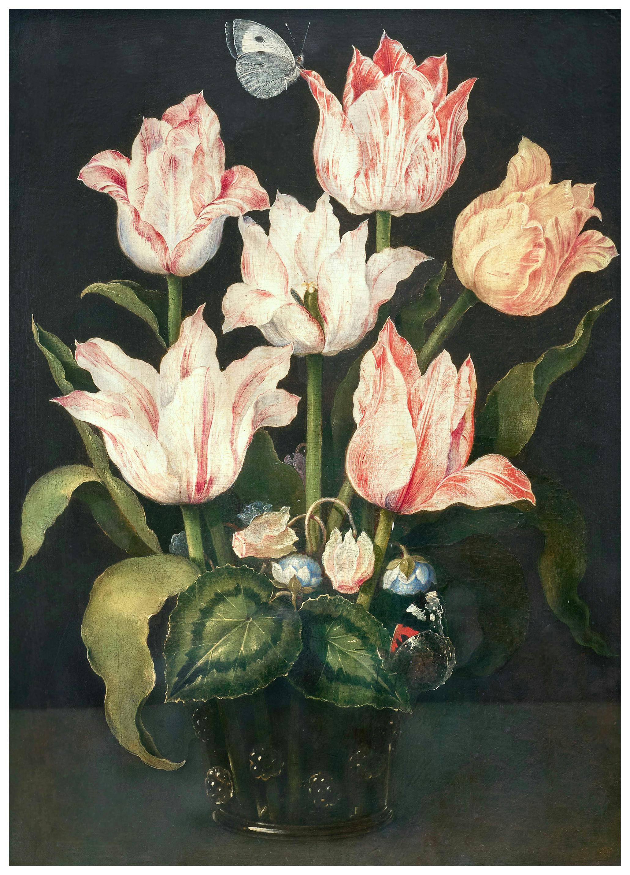 Osias Beert the Elder - Still Life with Tulips in a Glass Vase with Cyclamen and Anemone Poster (50x70 cm) - Poster Store
