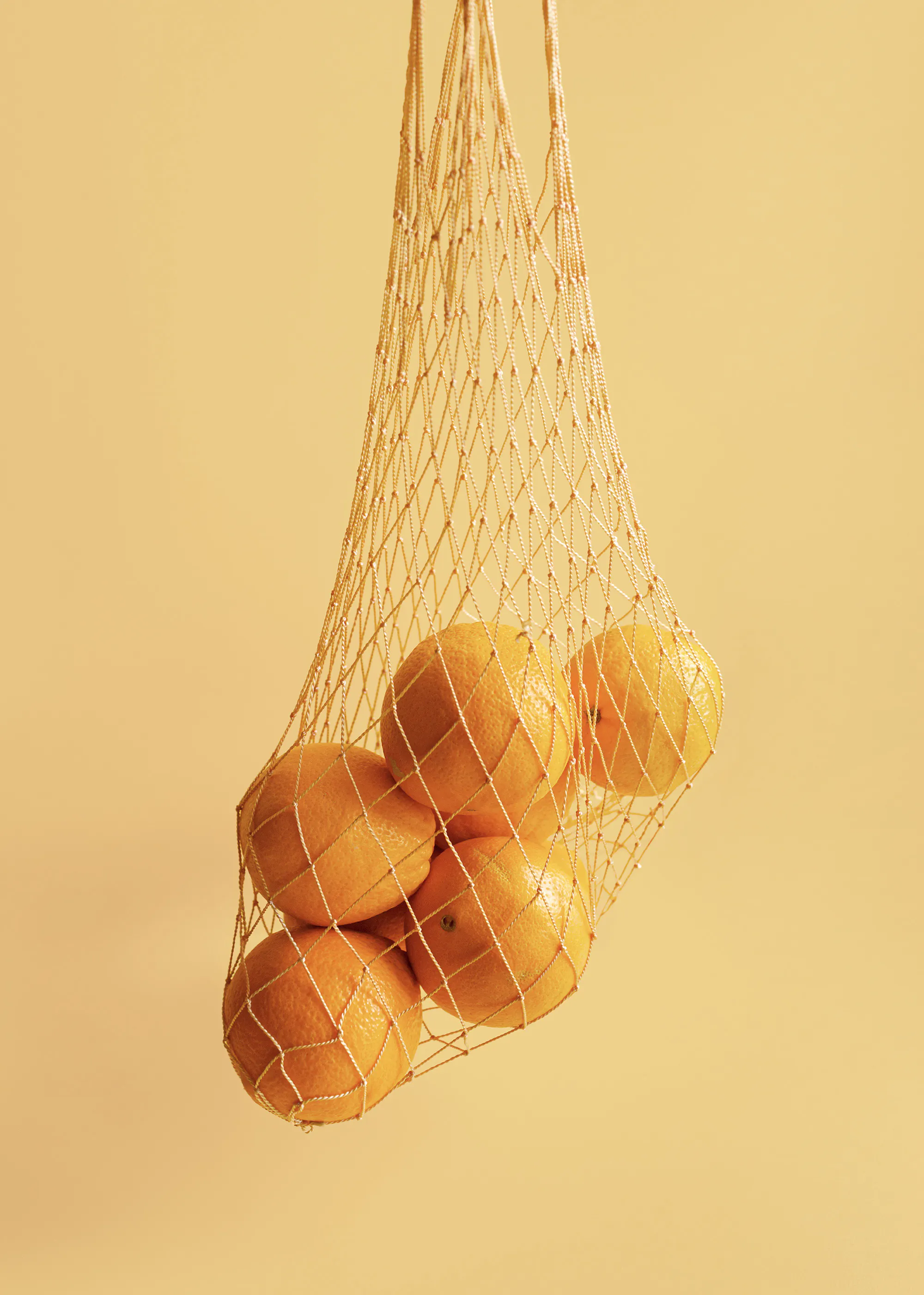 Oranges in Net Poster 0