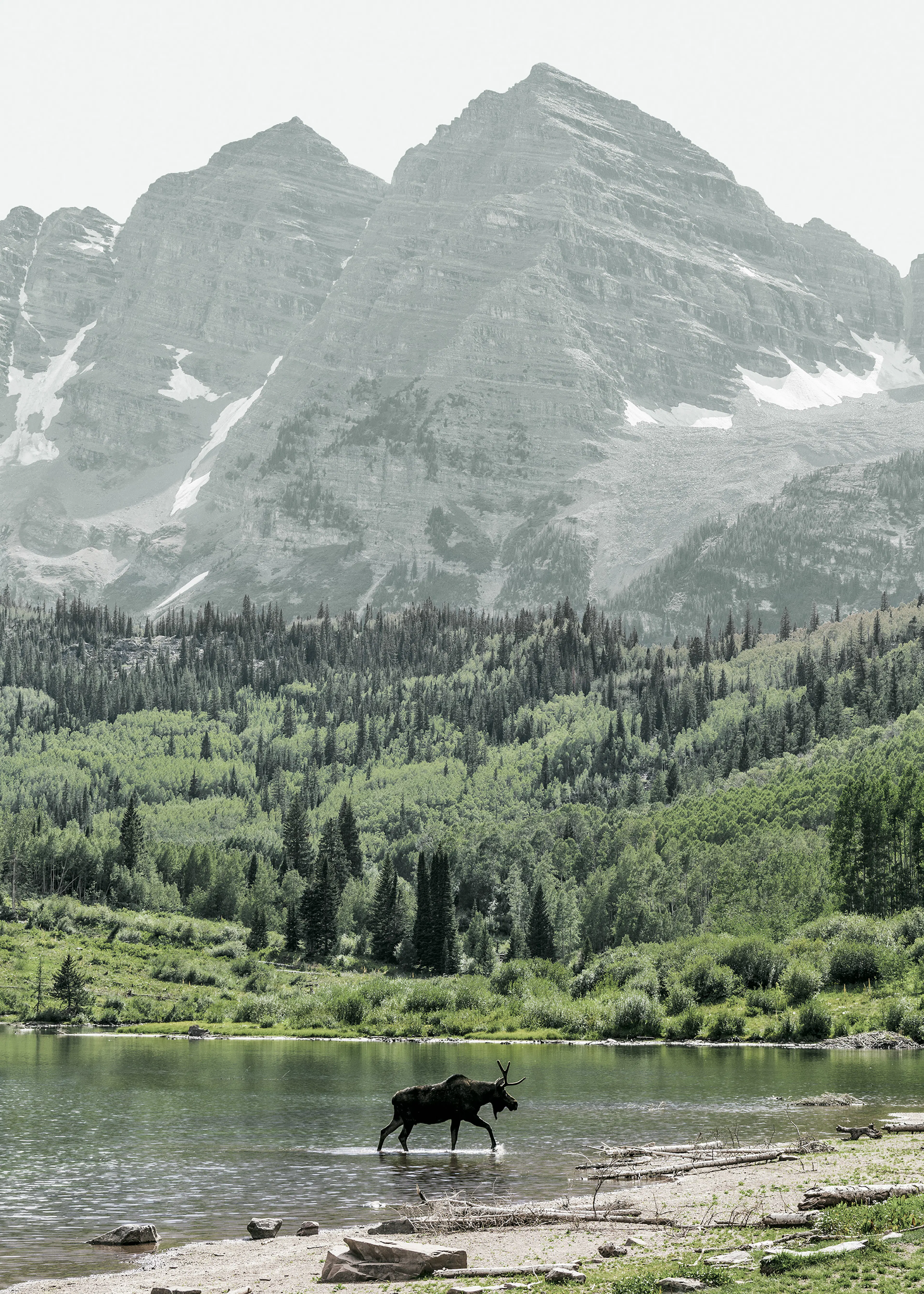 Swiss Alps Print 0