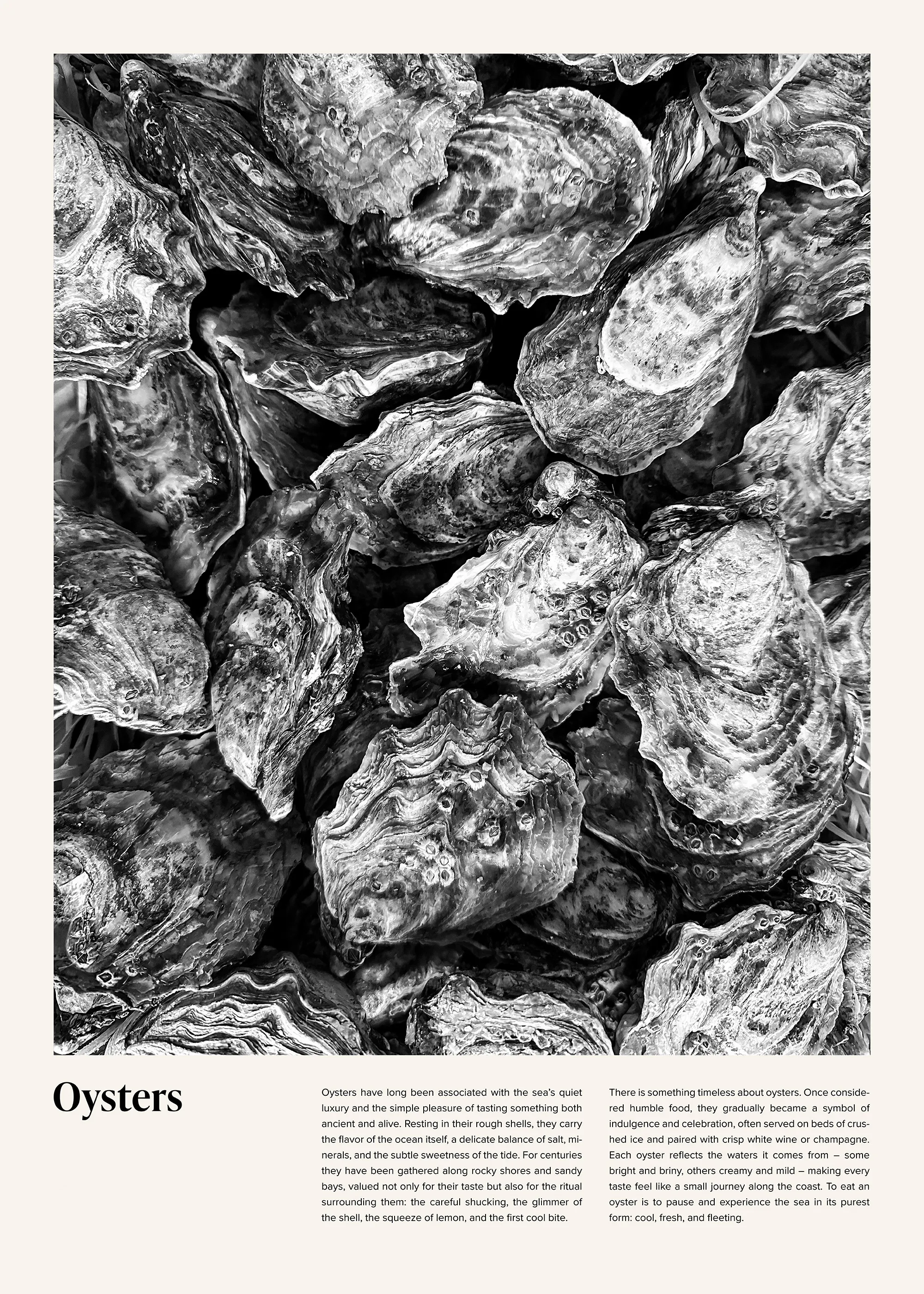 Oysters Poster 0