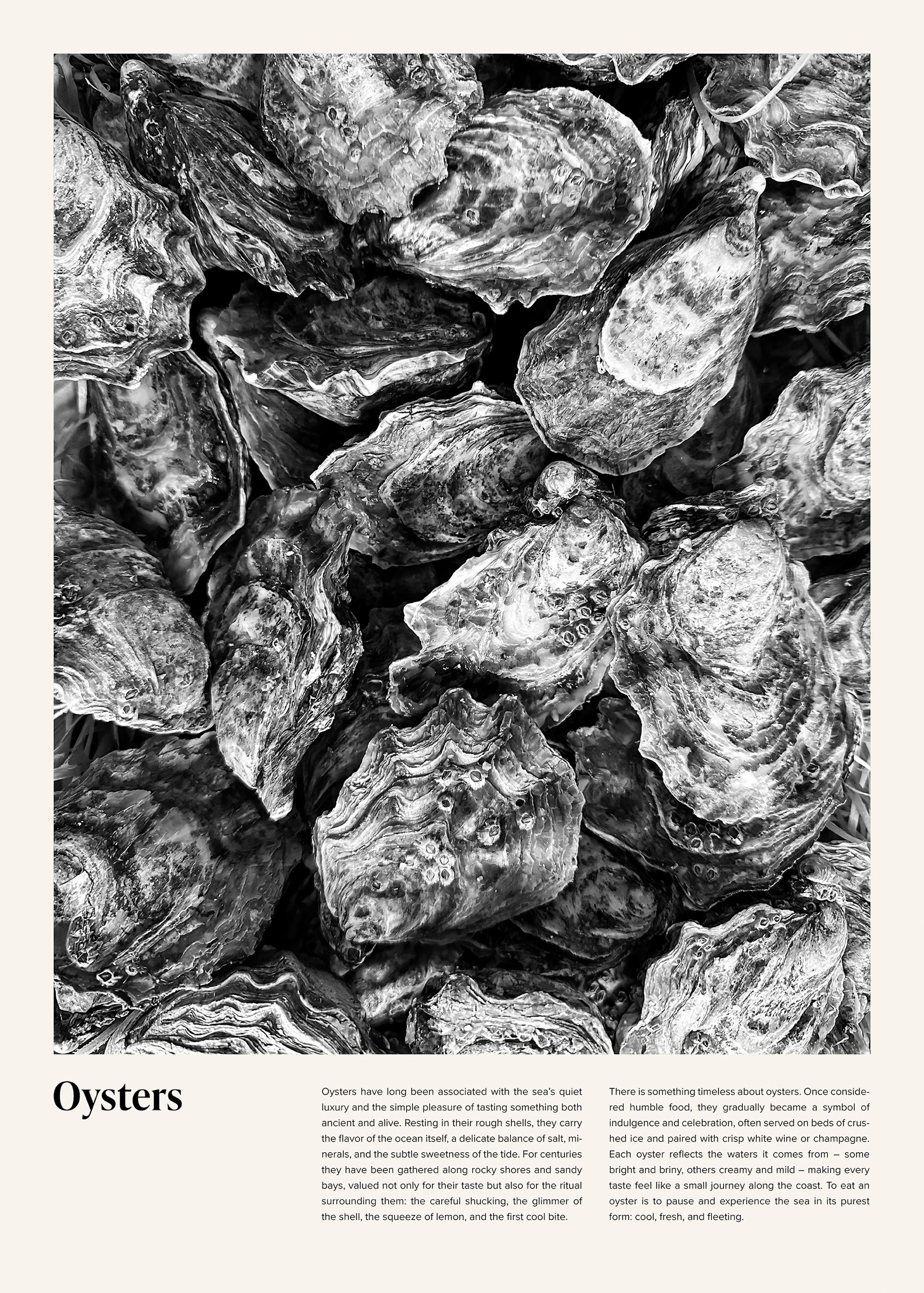 Oysters Poster 0