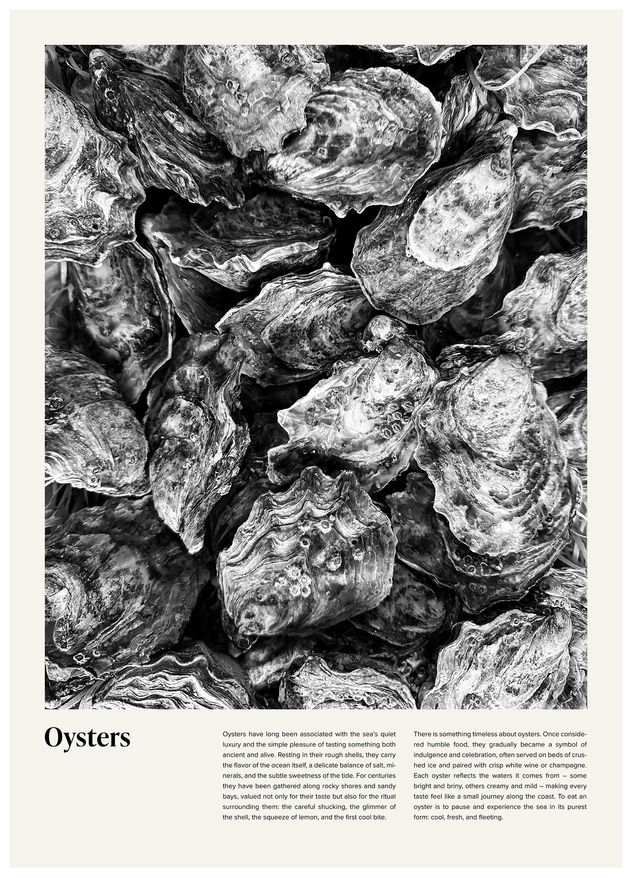 Ostrygi Plakat (70x100 cm) - Poster Store