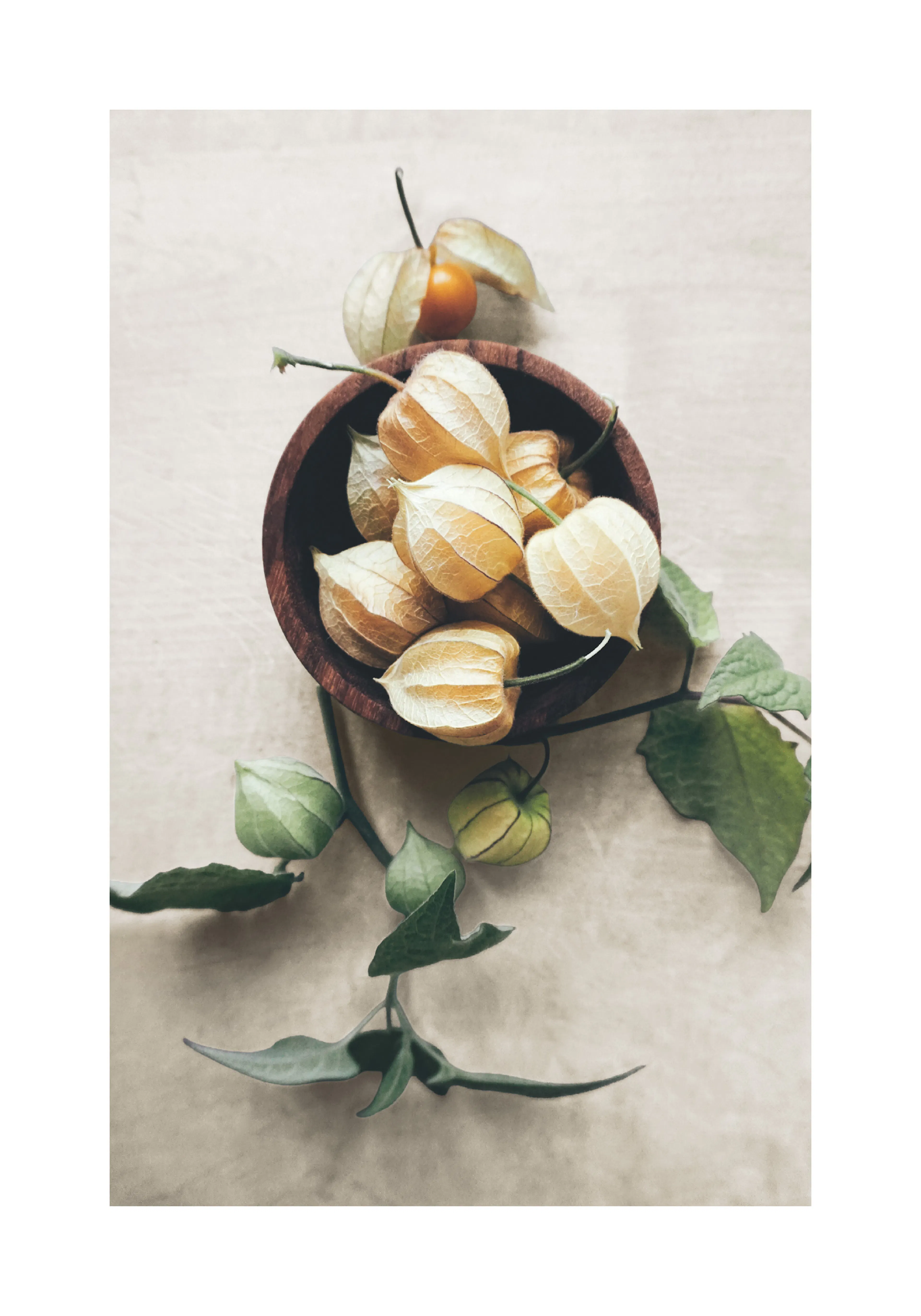 Product image: 1