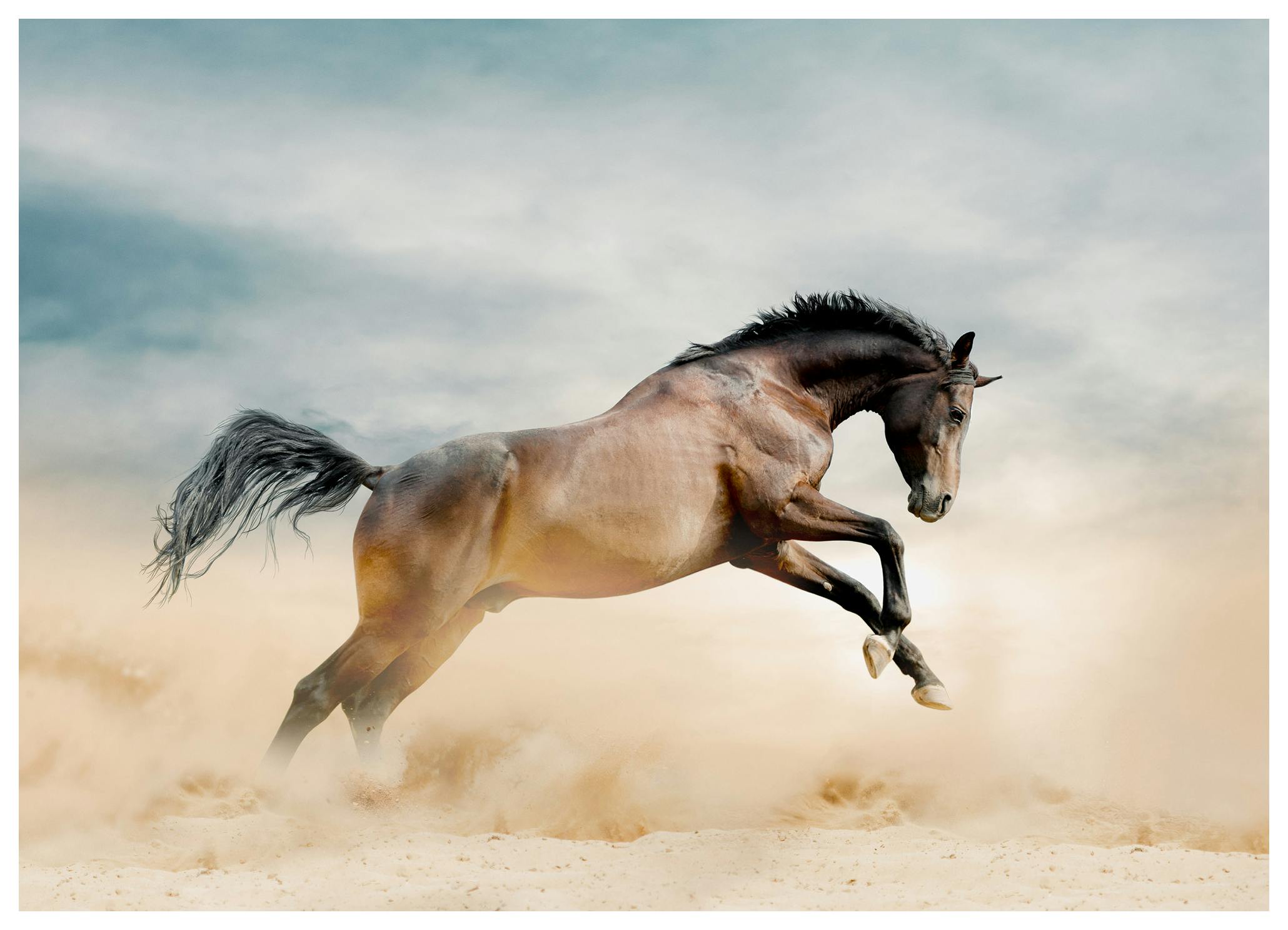 Running Horse Poster (30x40 cm) - Poster Store