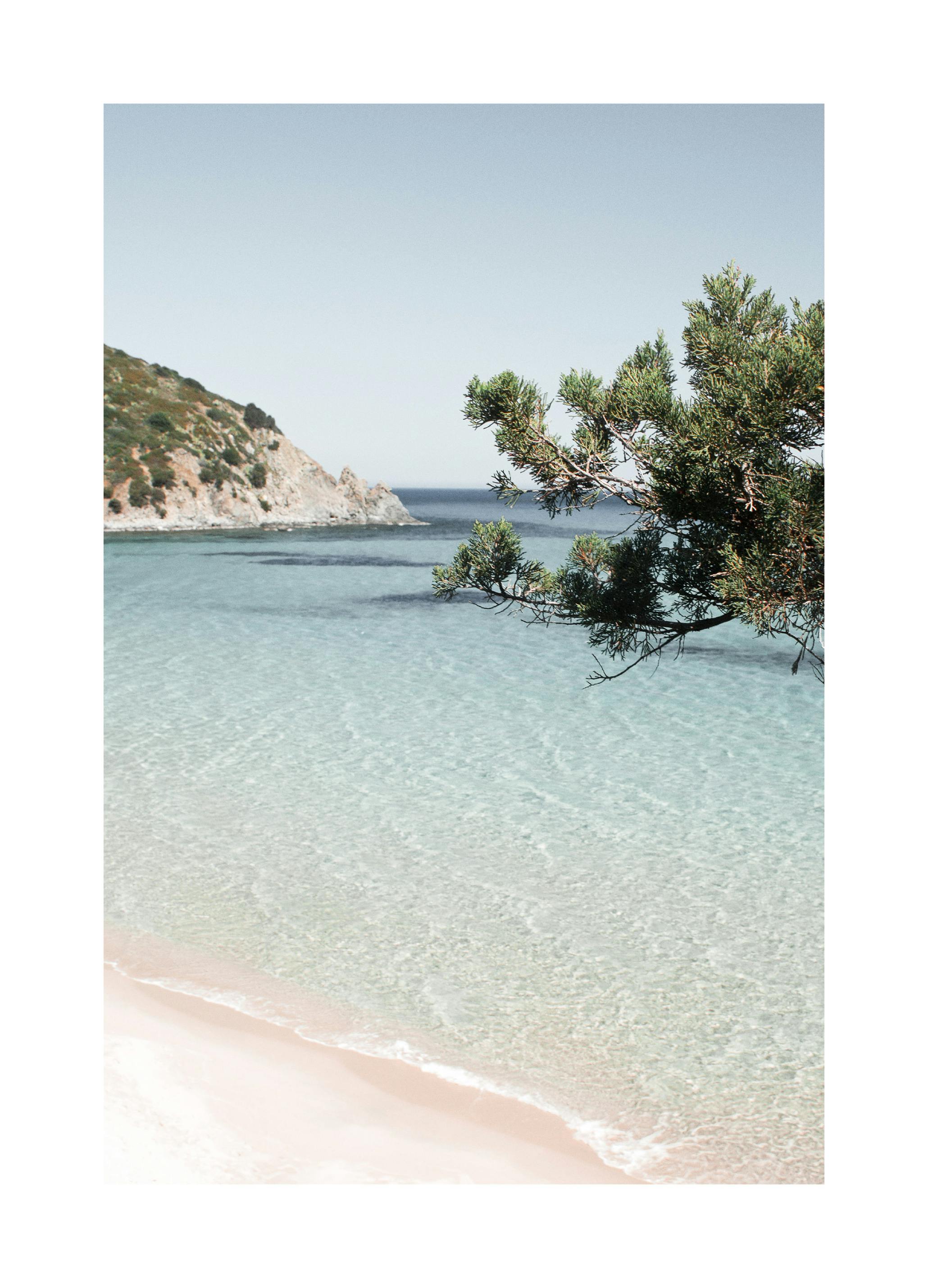 Tropical Beach Poster (70x100 cm) - Poster Store