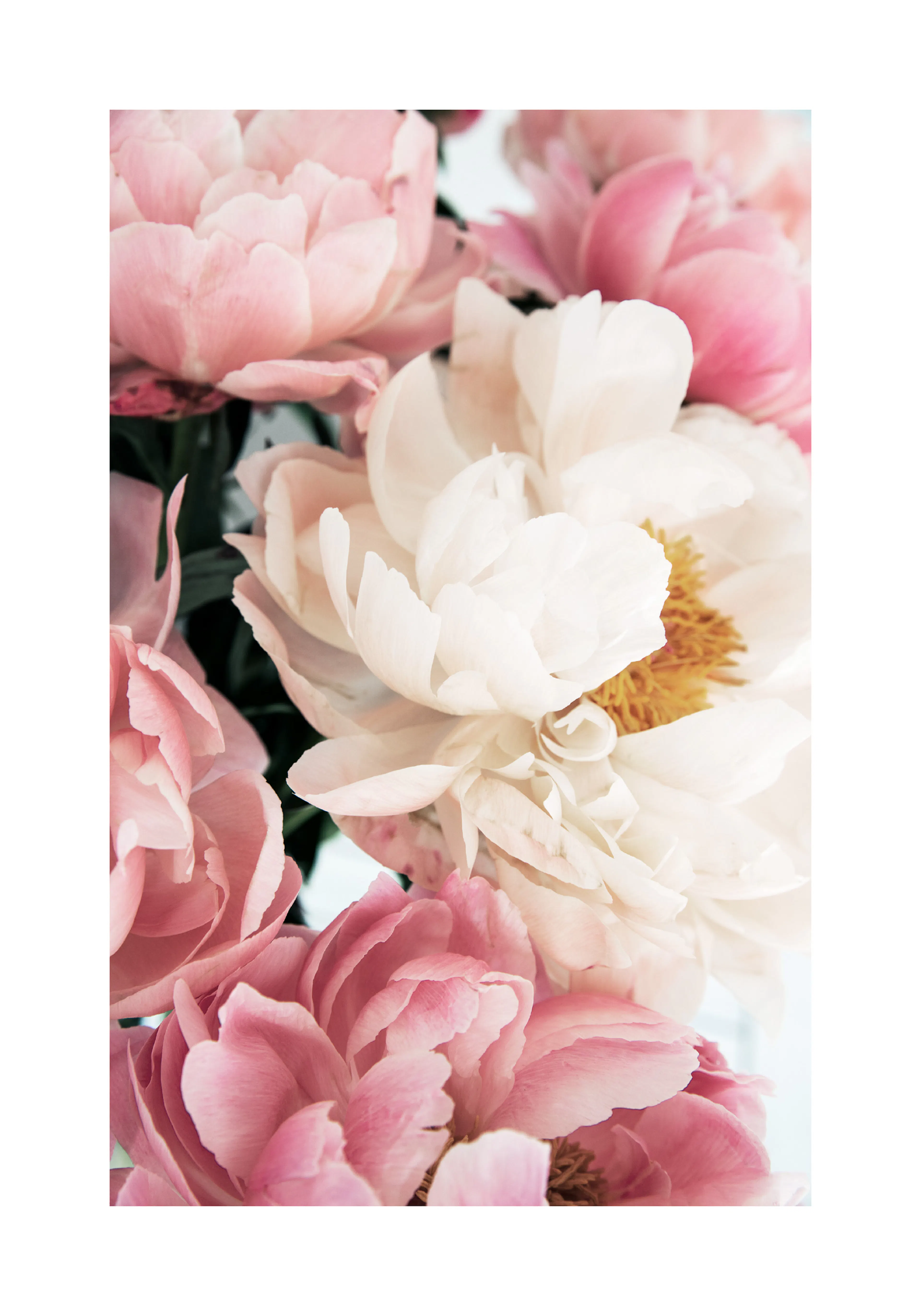 Product image: 1