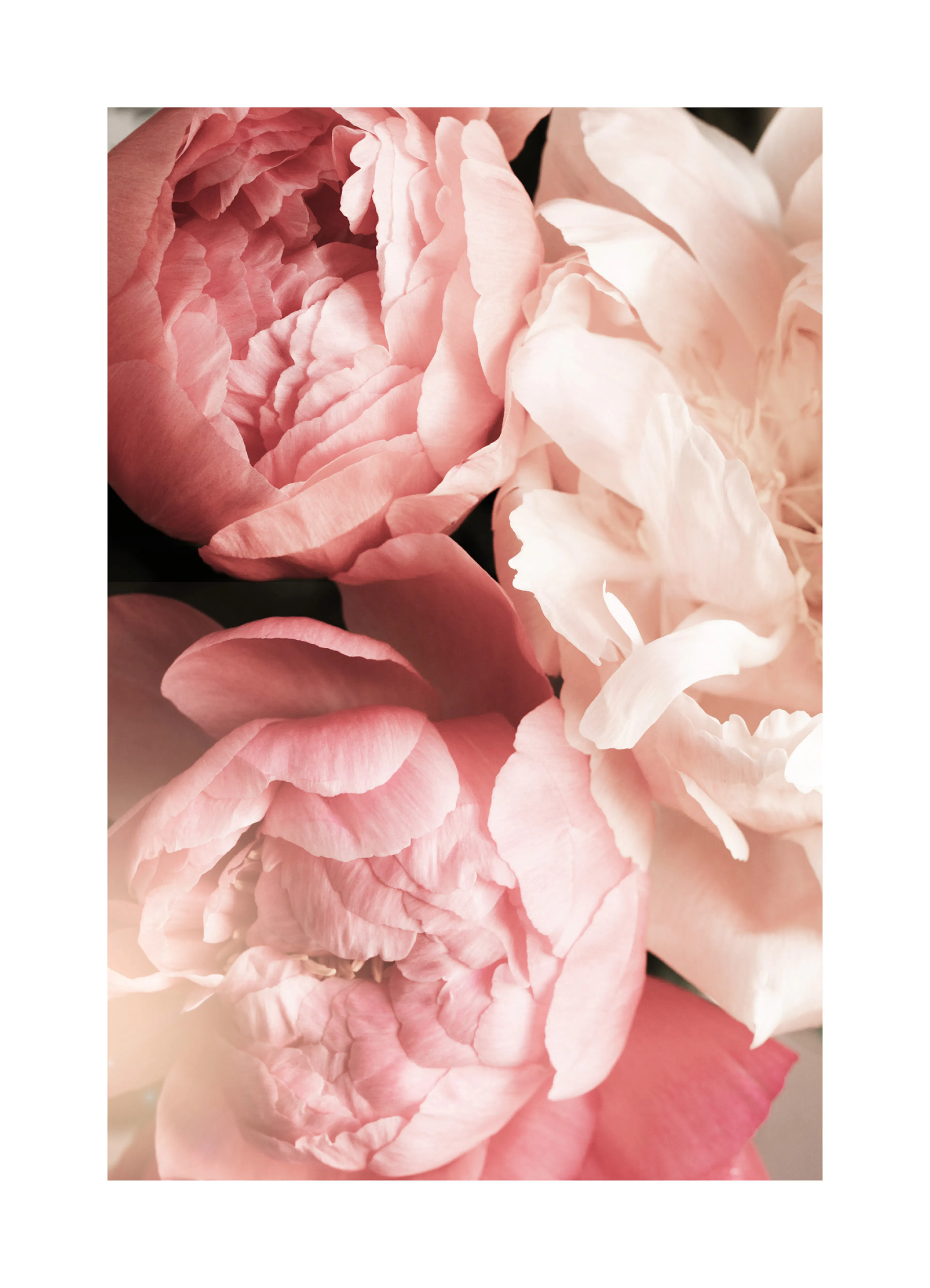 Product image: 1