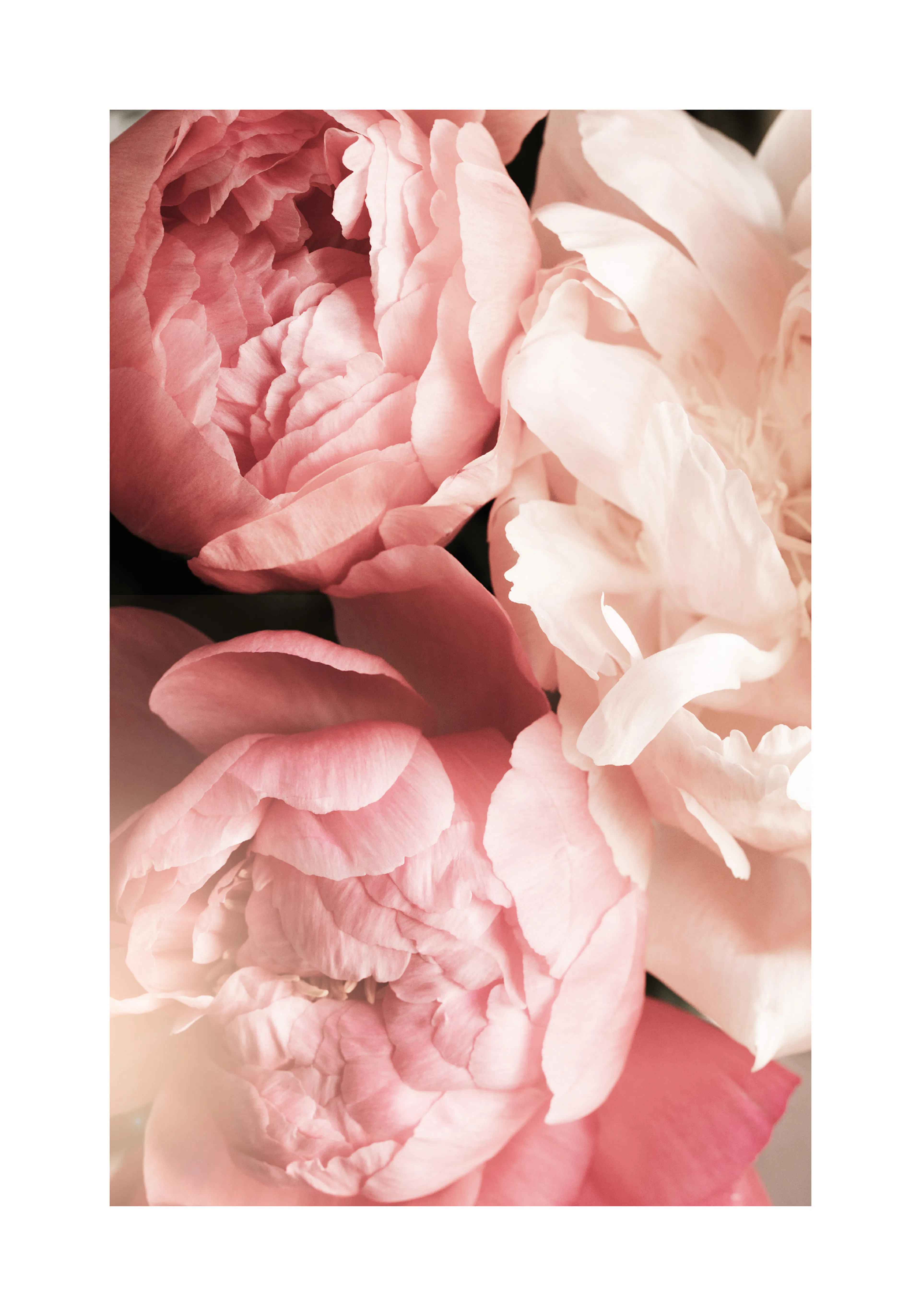 Product image: 1