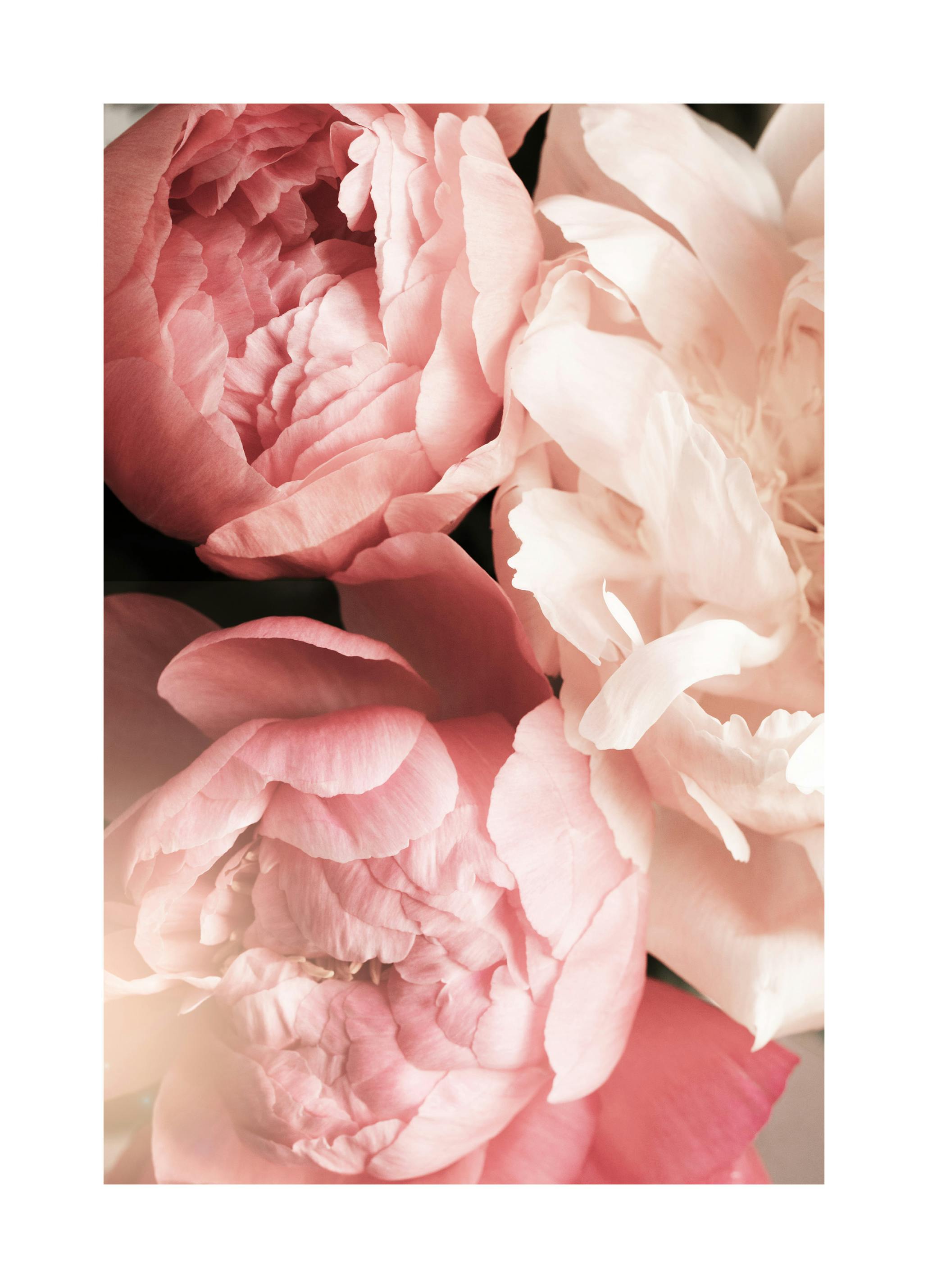 Zacht Bloemenboeket Poster (70x100 cm) - Poster Store