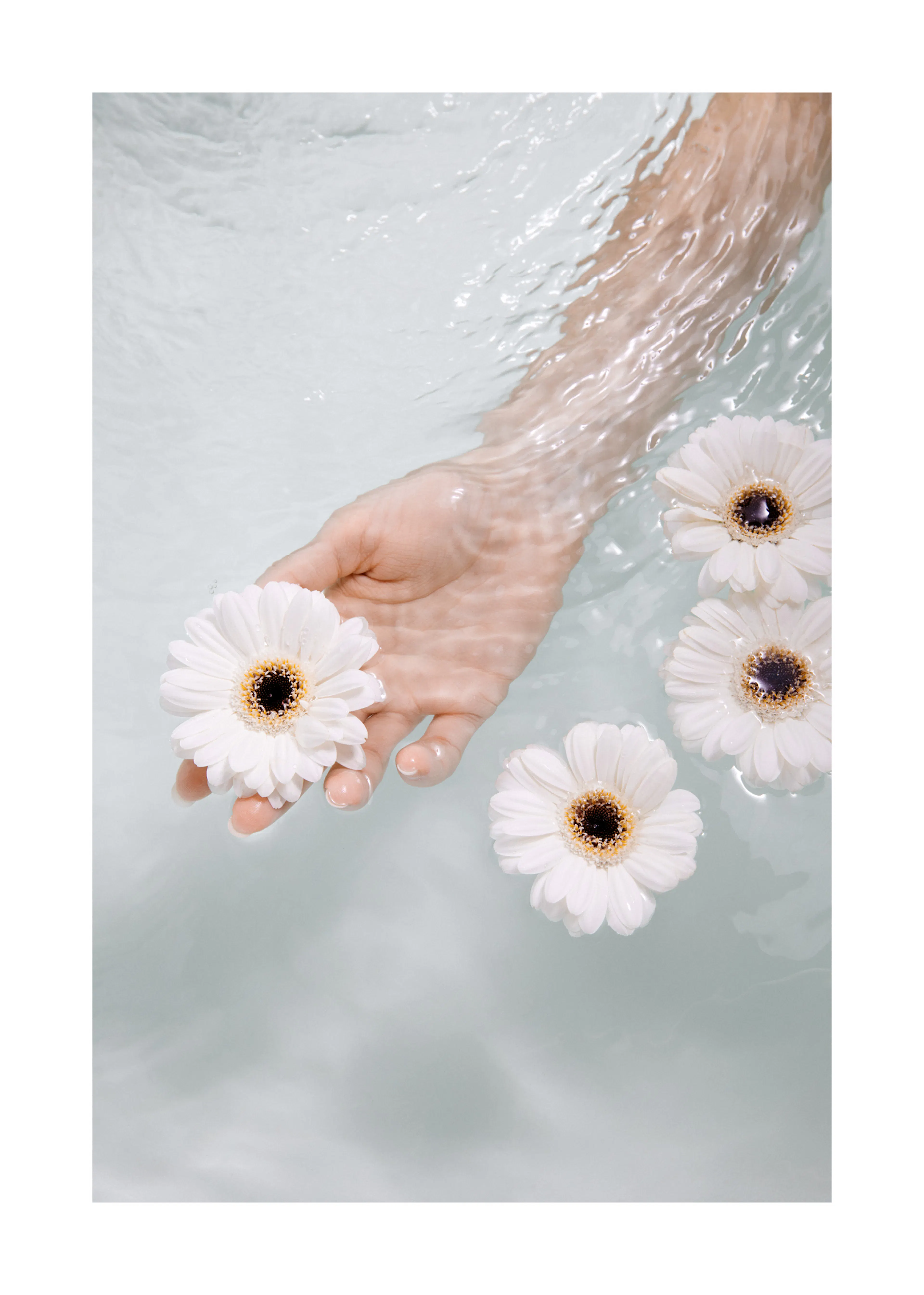 Flowers In Sea Poster 0