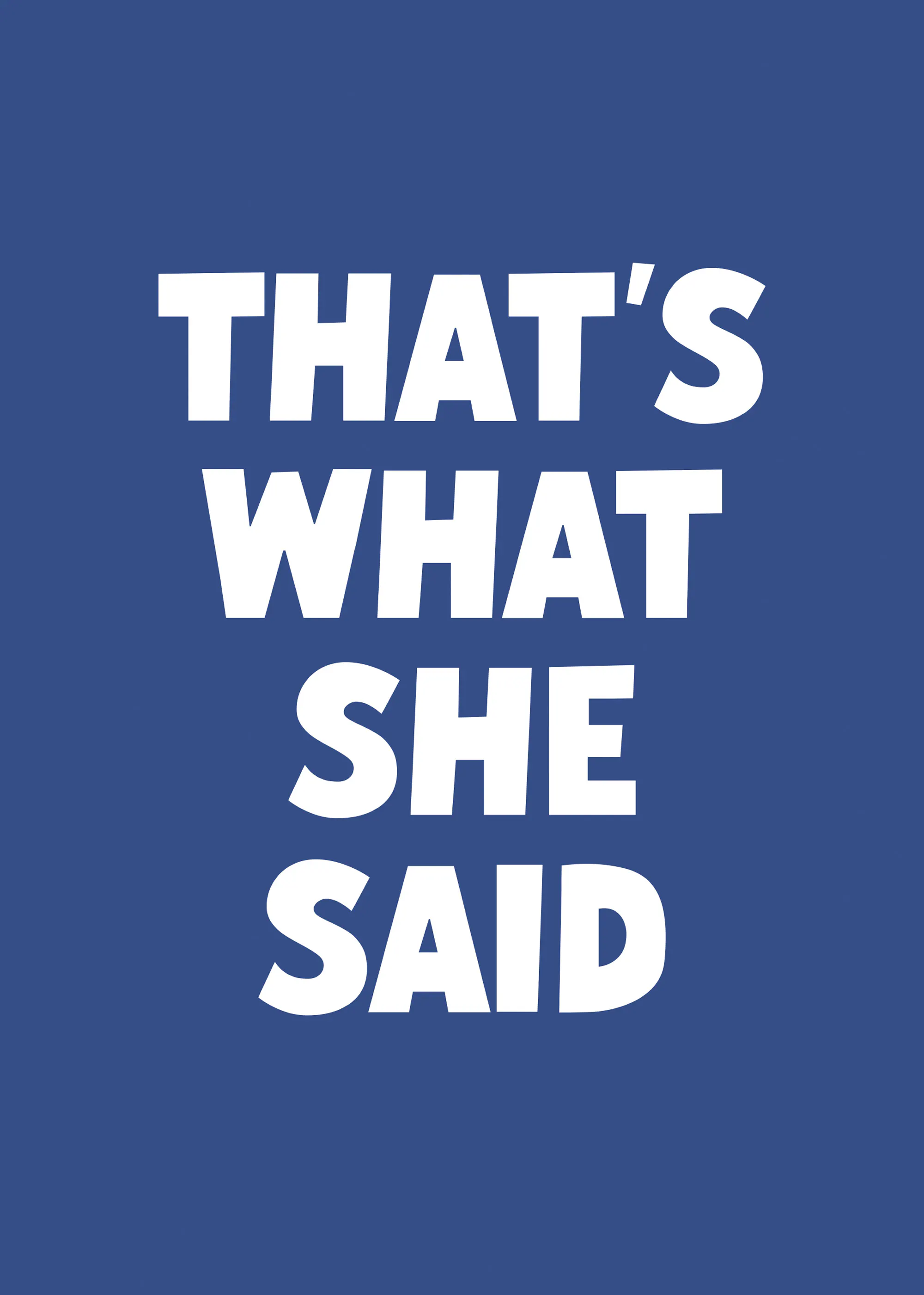 That's What She Said ポスター 0